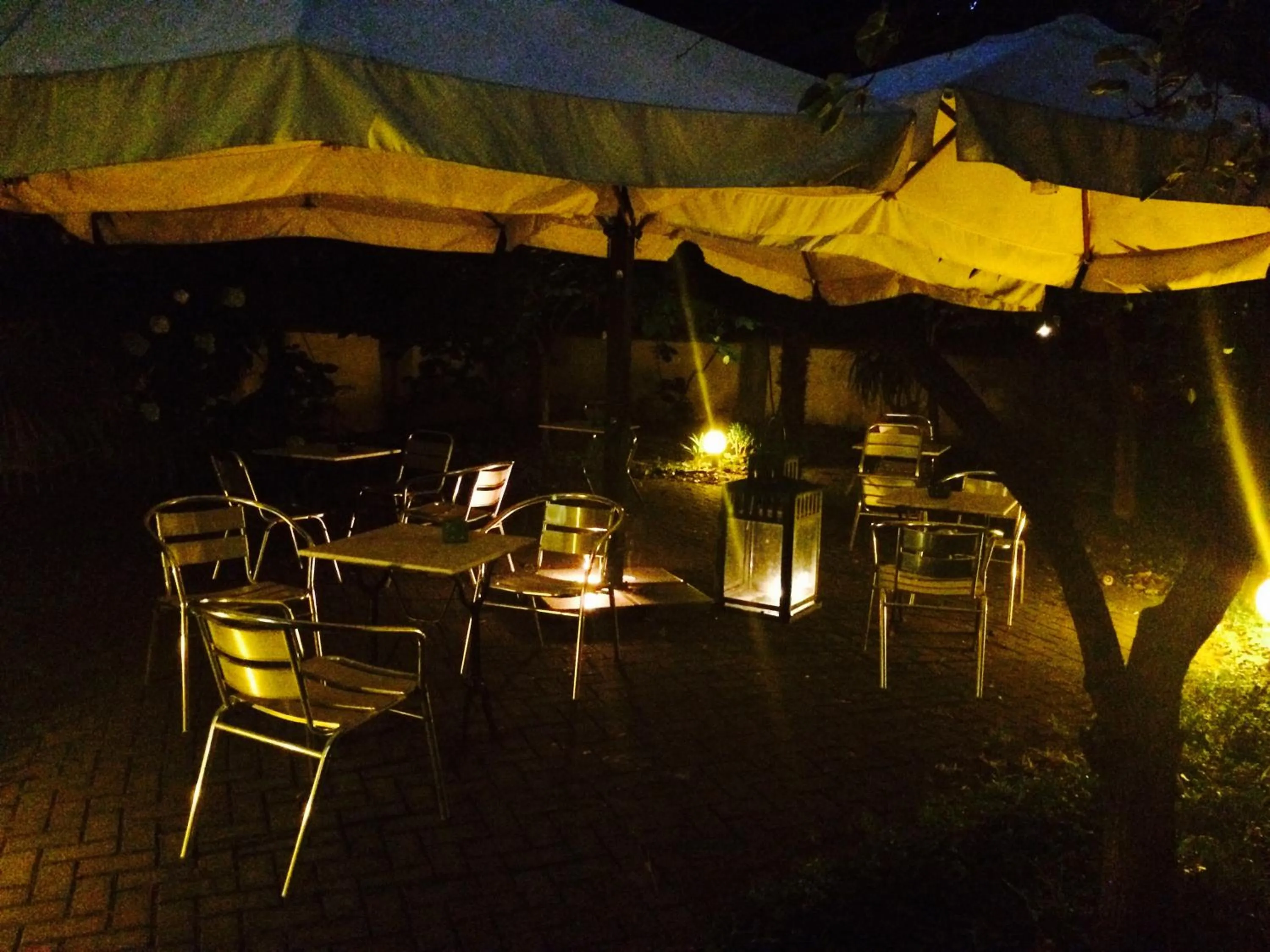 Garden in Hotel Paradiso