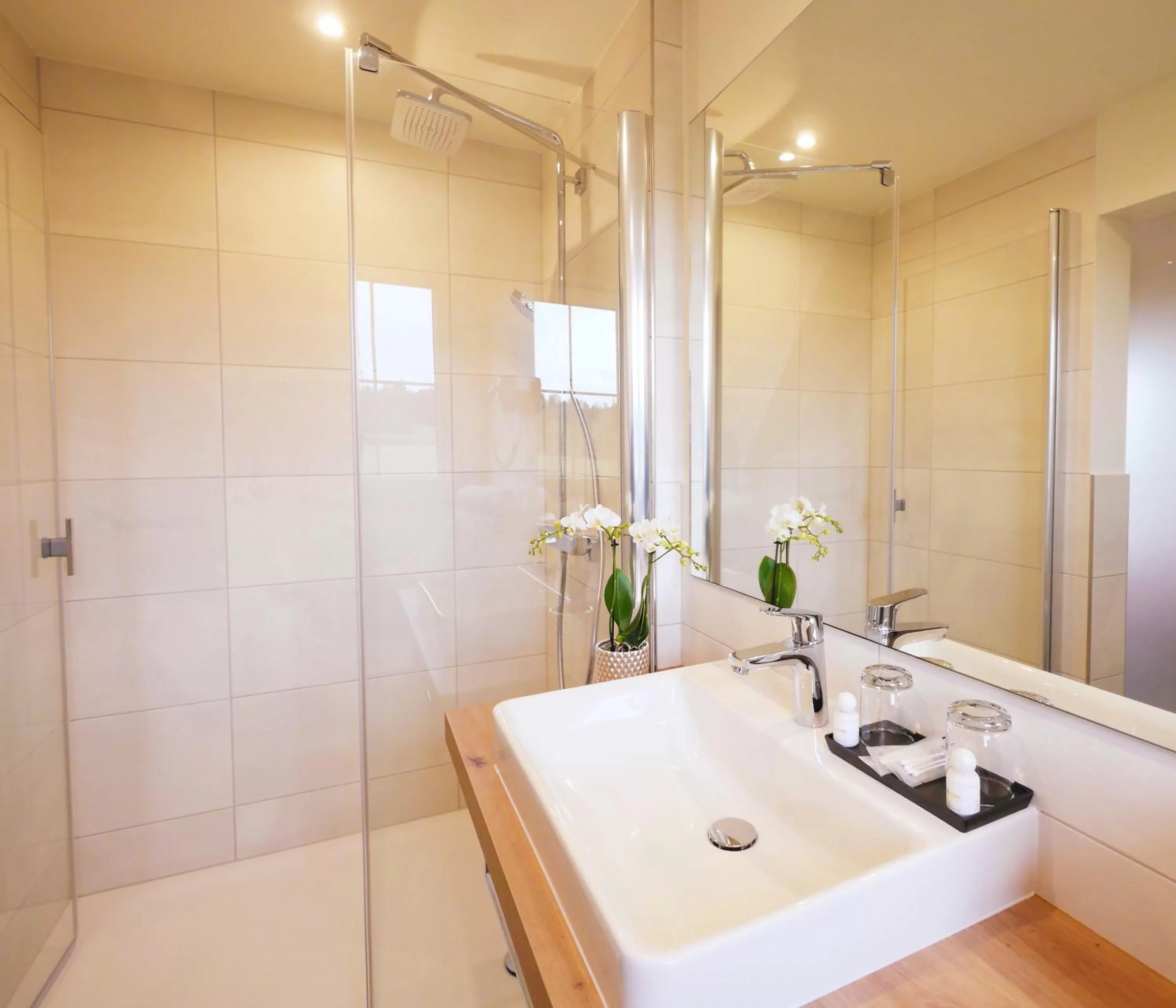 Shower in Berghotel Zollersteighof