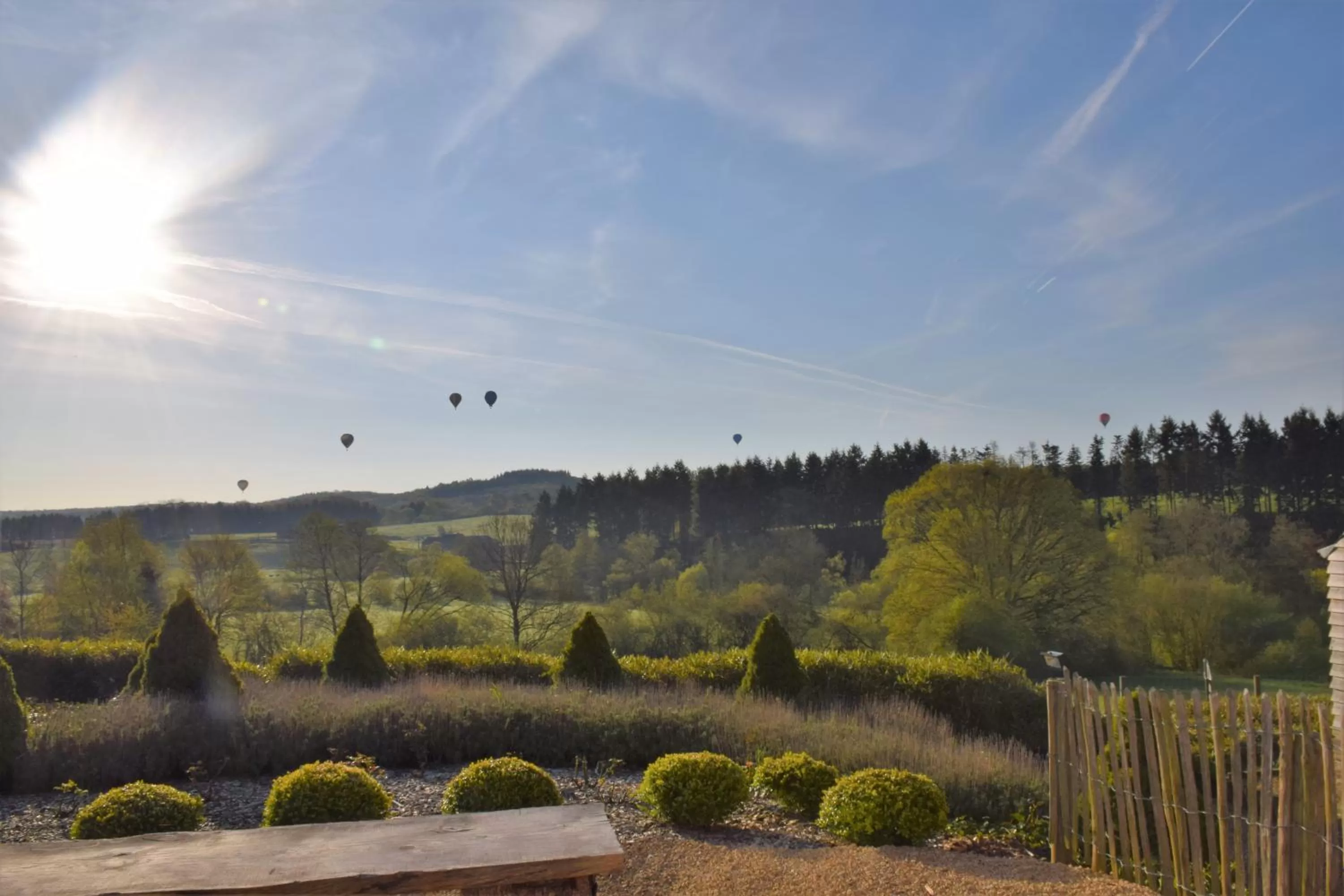 Natural landscape in B&B Le Briquemont