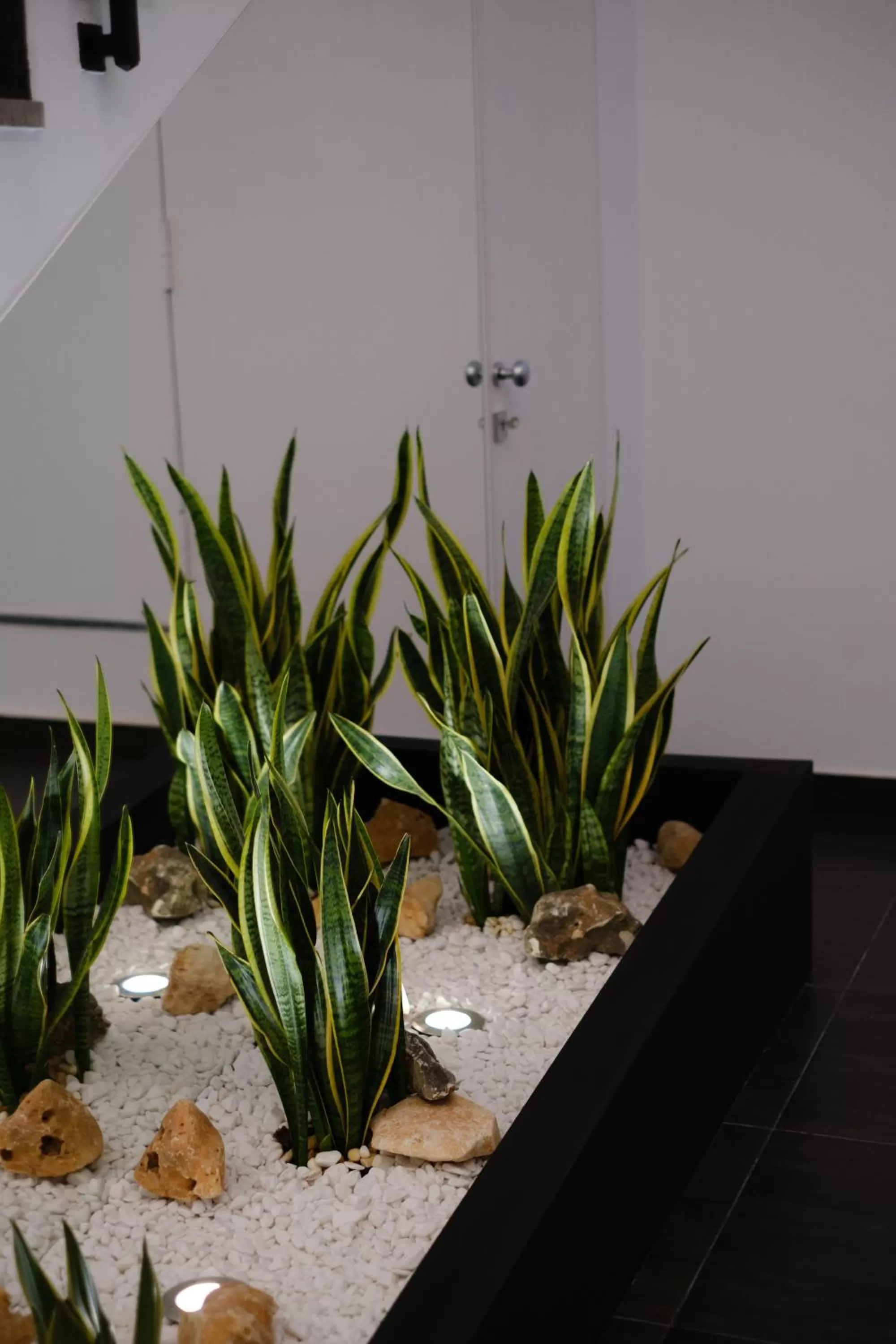 Decorative detail in Domea Superior Rooms Bed and Breakfast