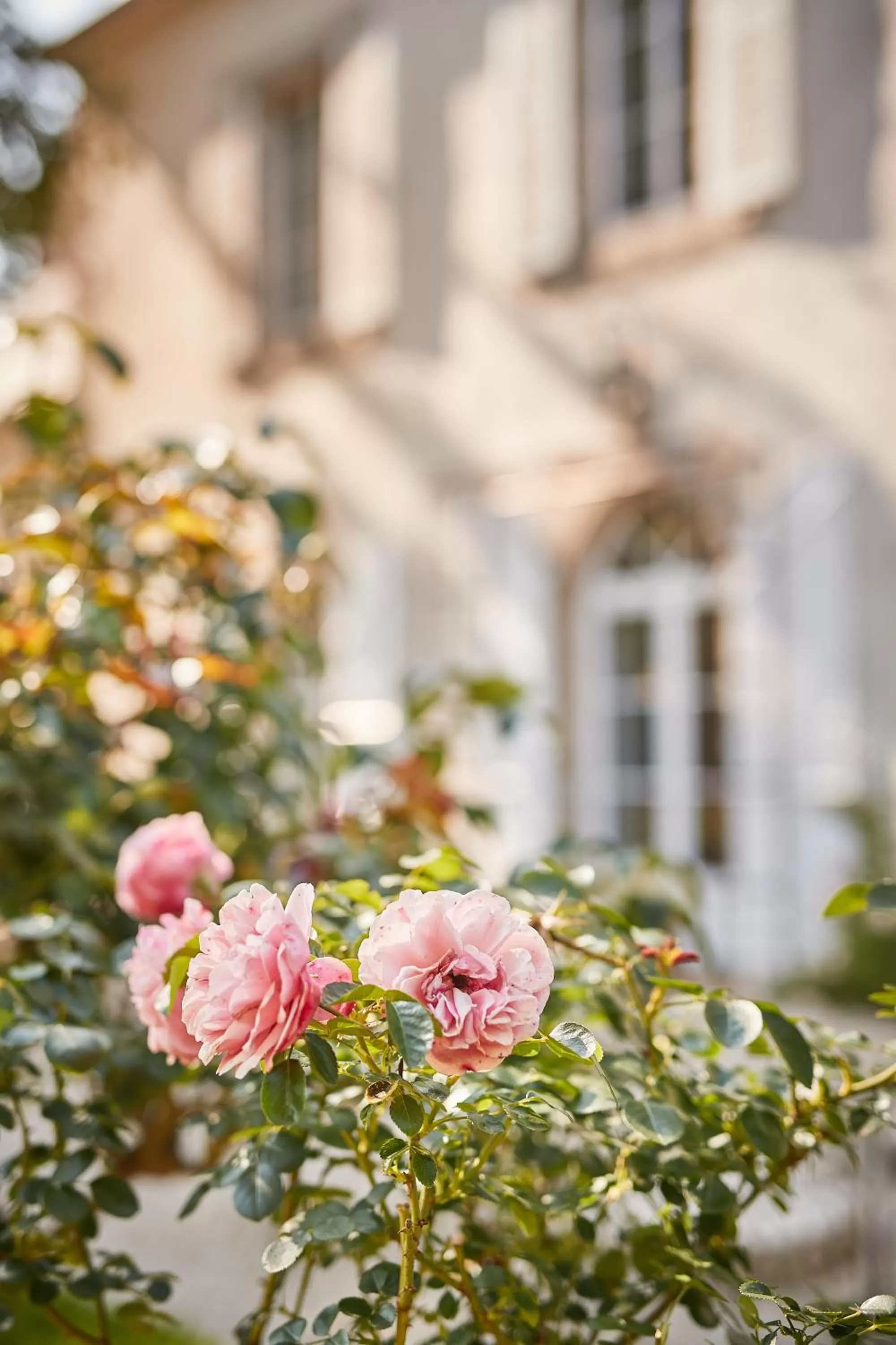 Garden in la_grande_guerais