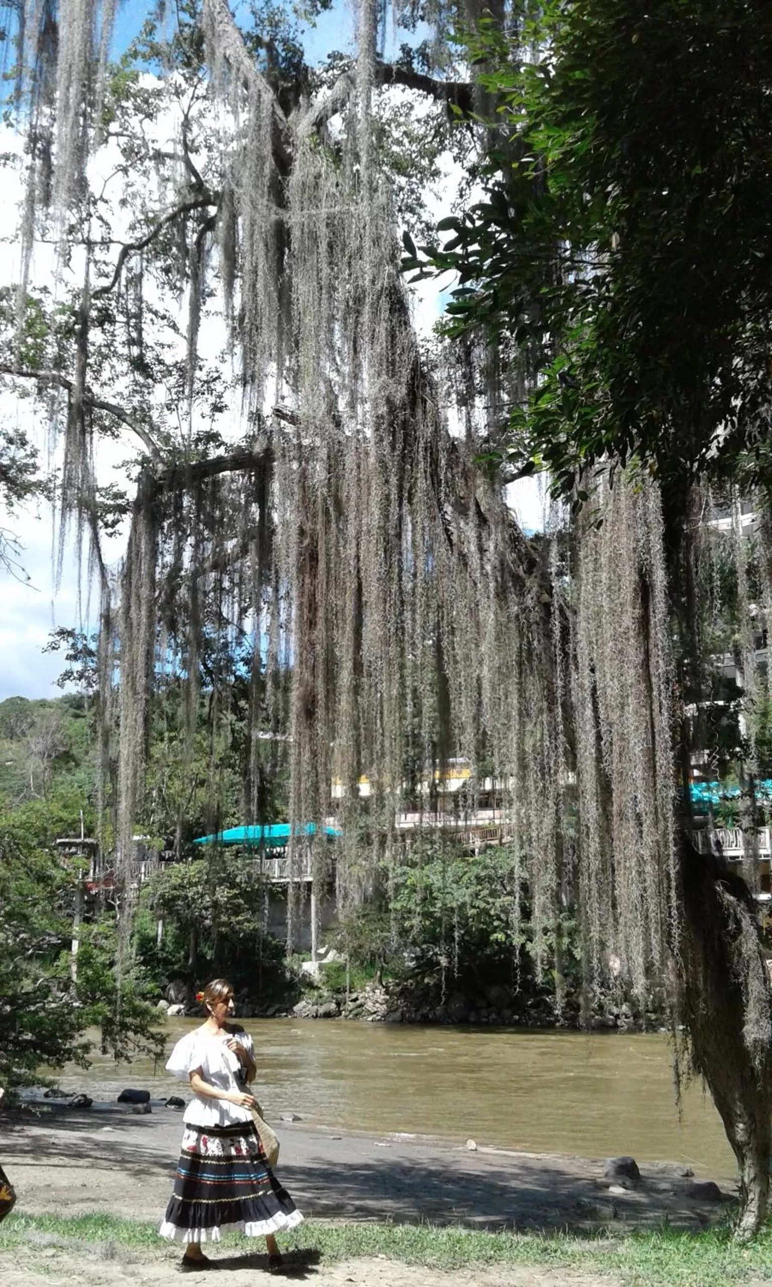 Activities in Hotel Real Pólux