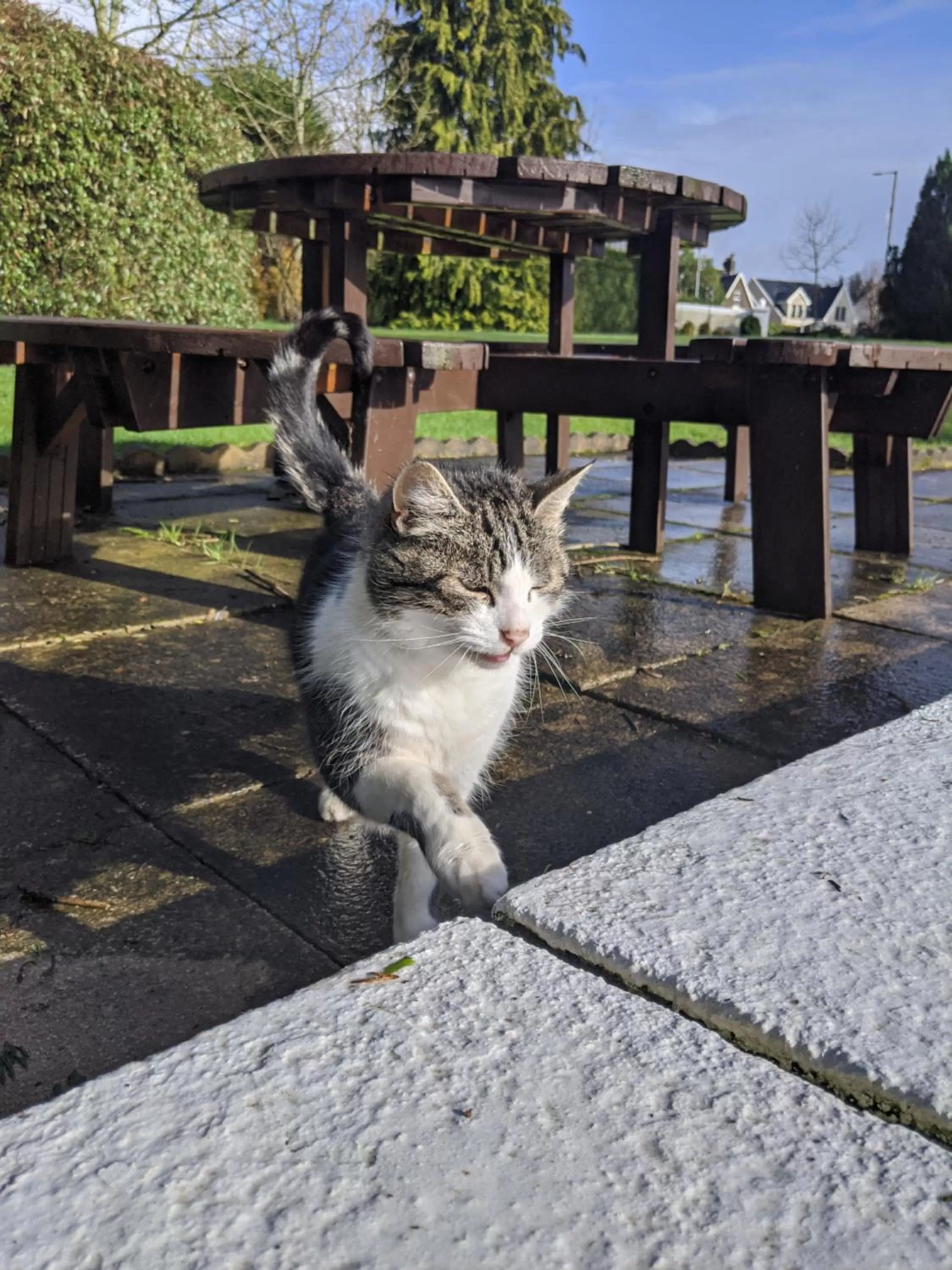 Pets in Glazert Country House Hotel