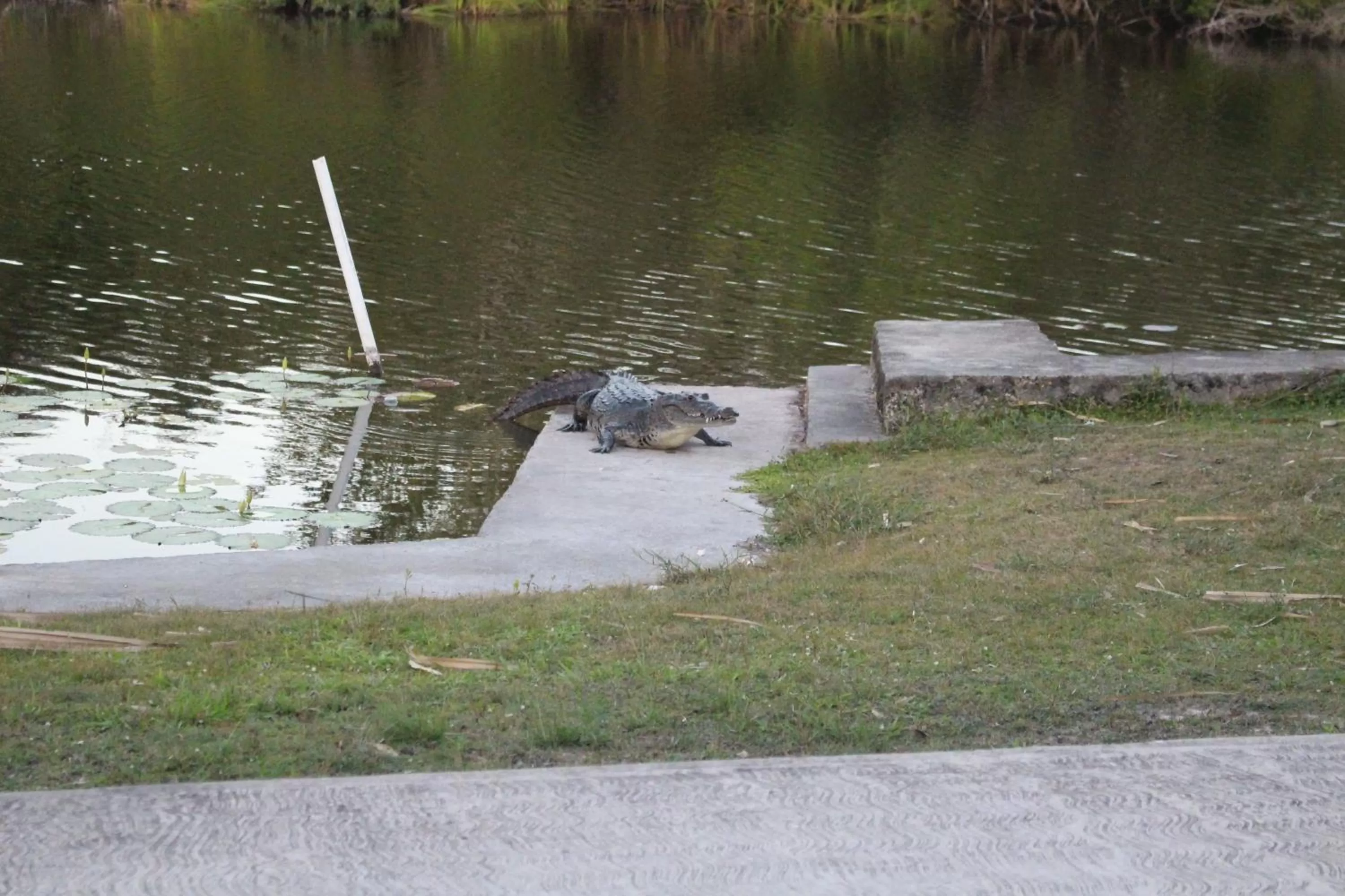 Day in Lamanai Riverside Retreat