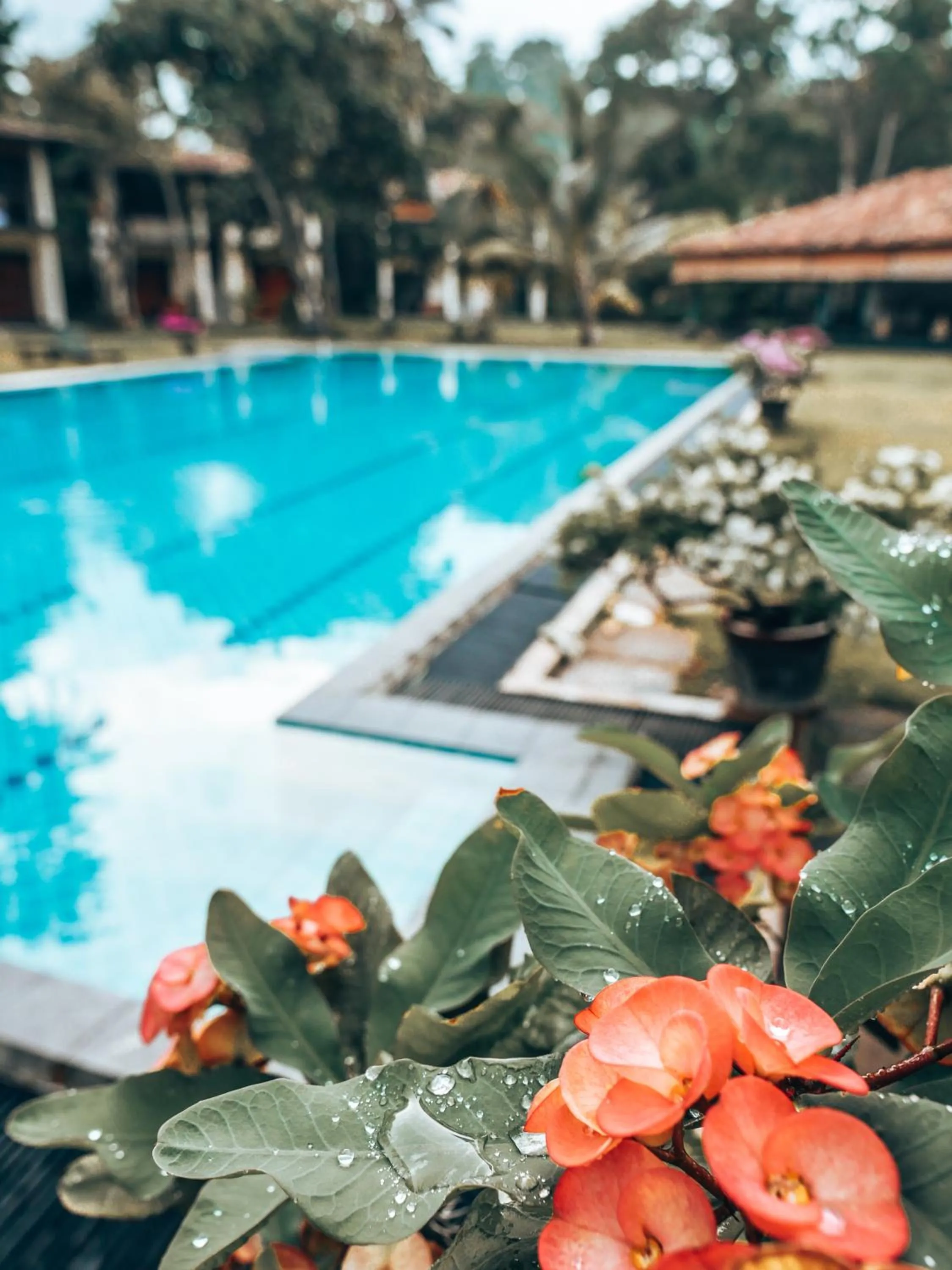 Day in Talalla Retreat