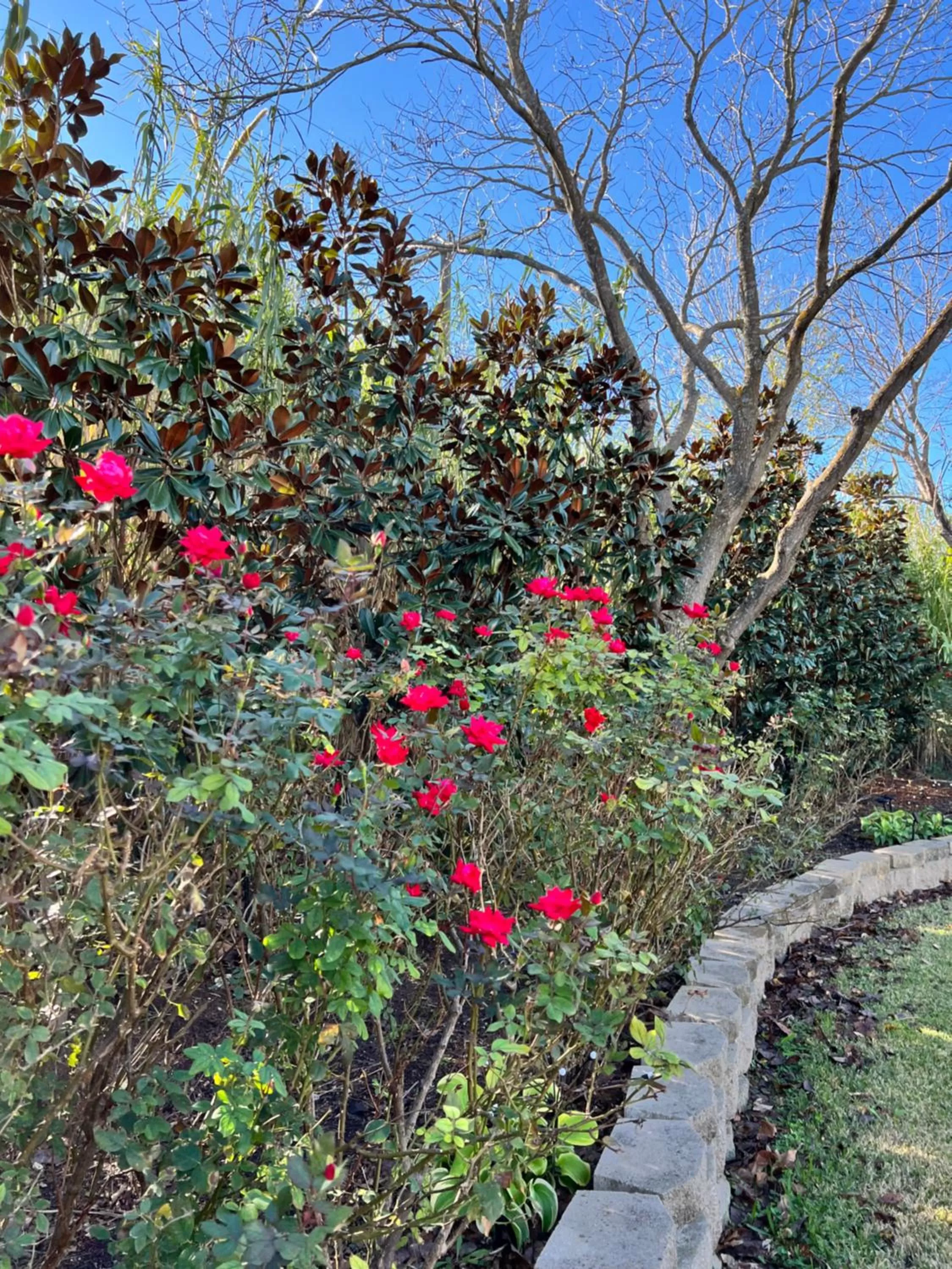 The Plantation House Boutique Inn