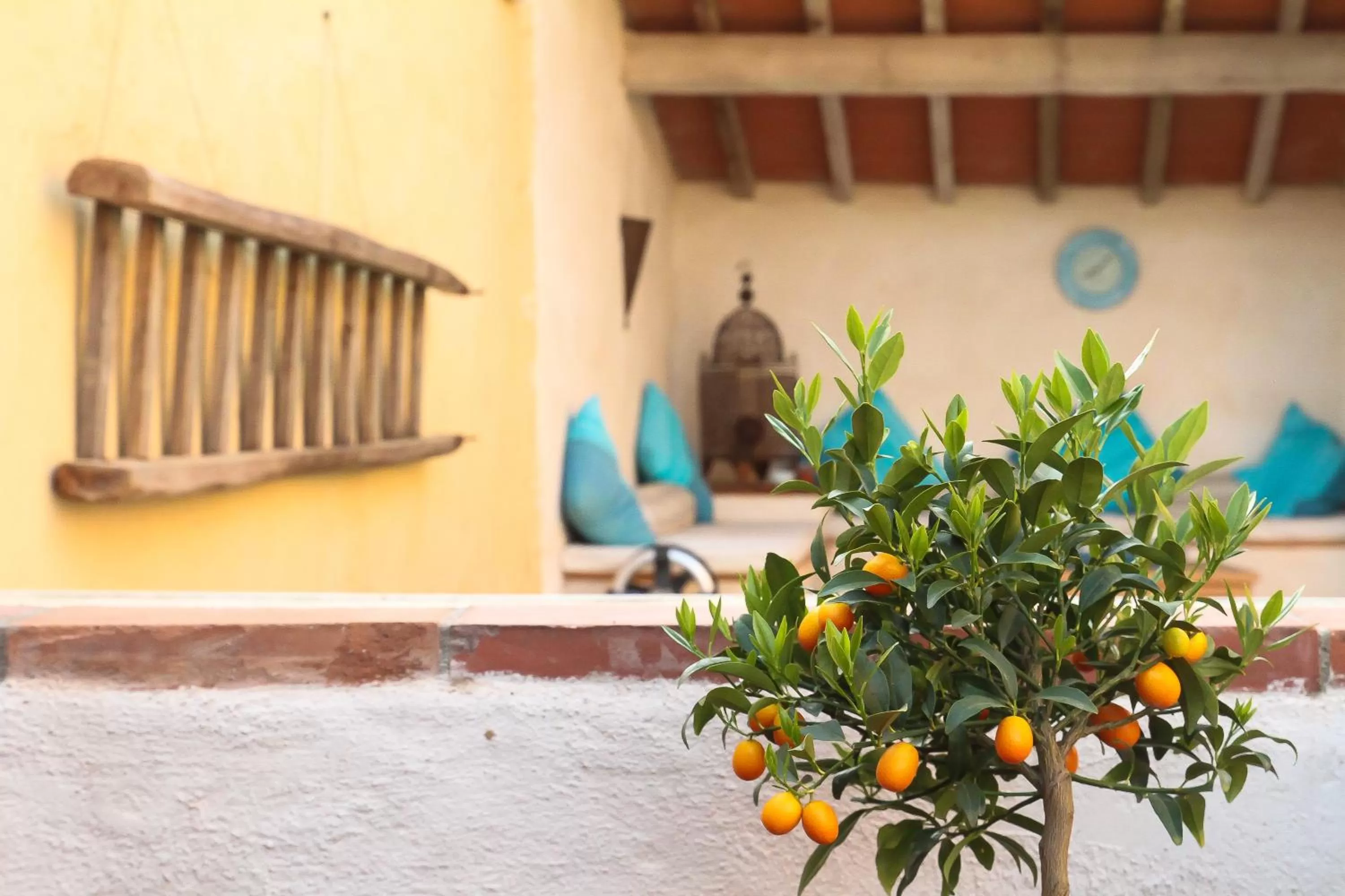 Patio in Mas St. Joseph