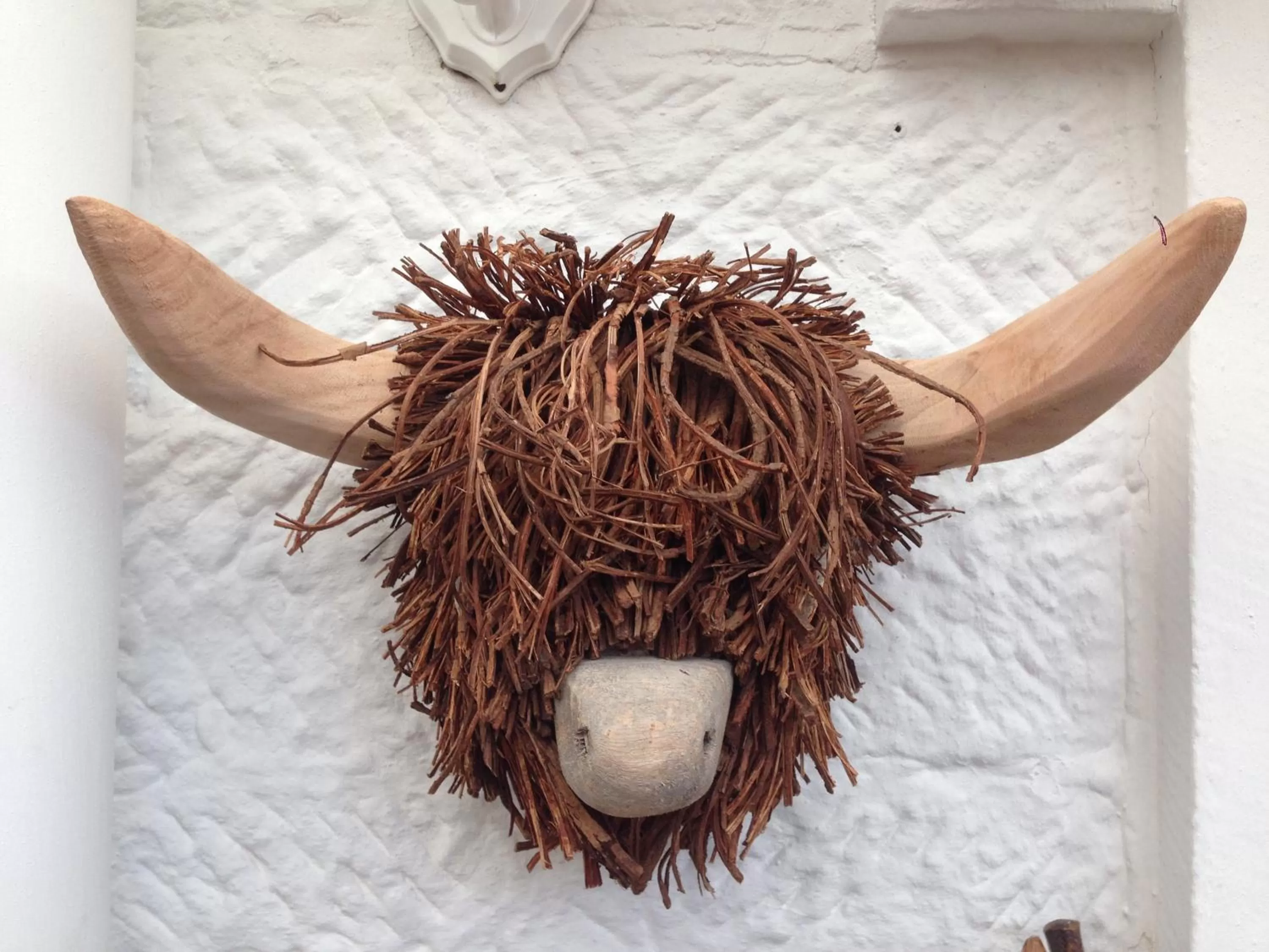 Animals, Other Animals in The Old Station House