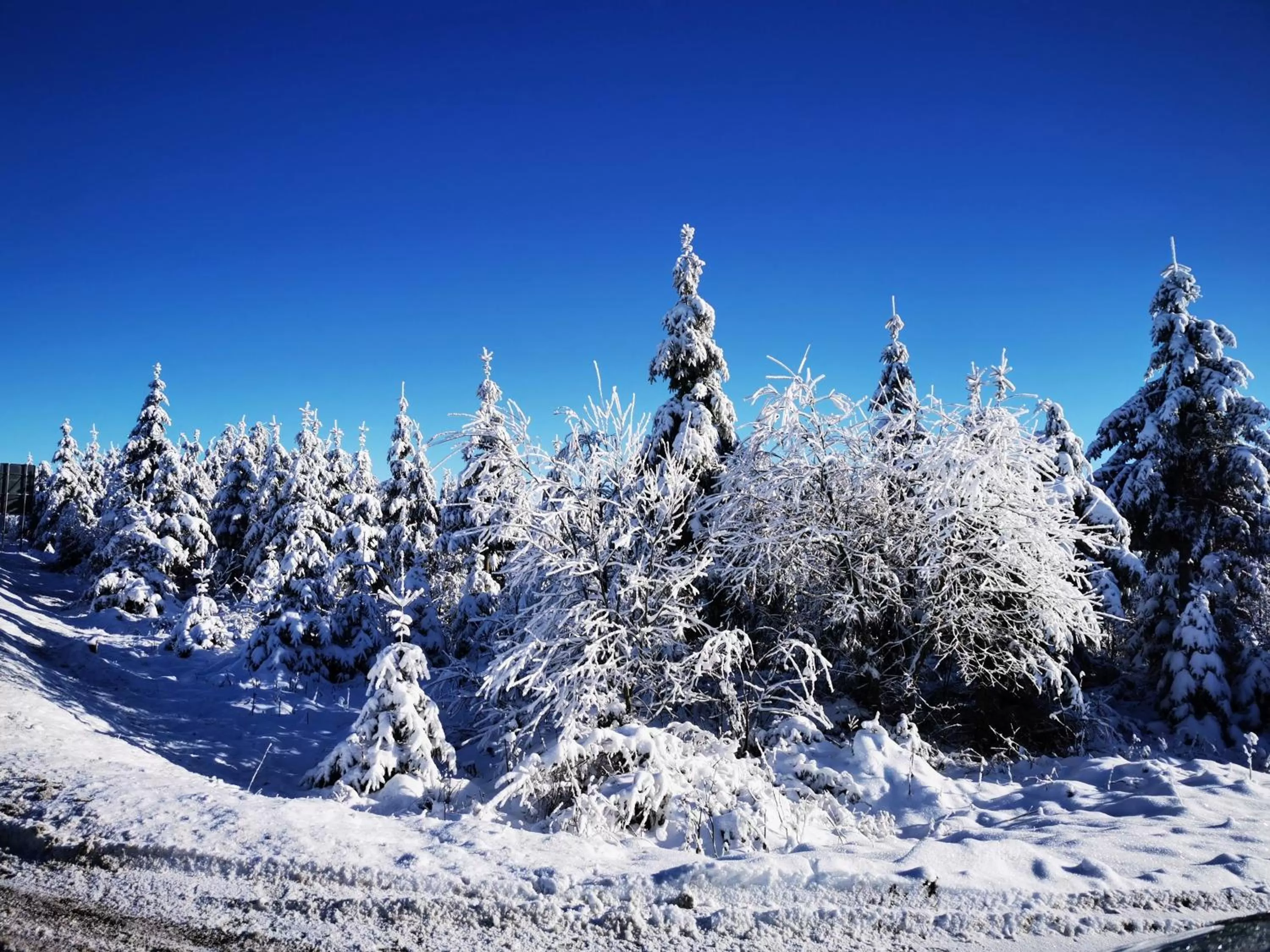 Staff, Winter in Haus Hubertus