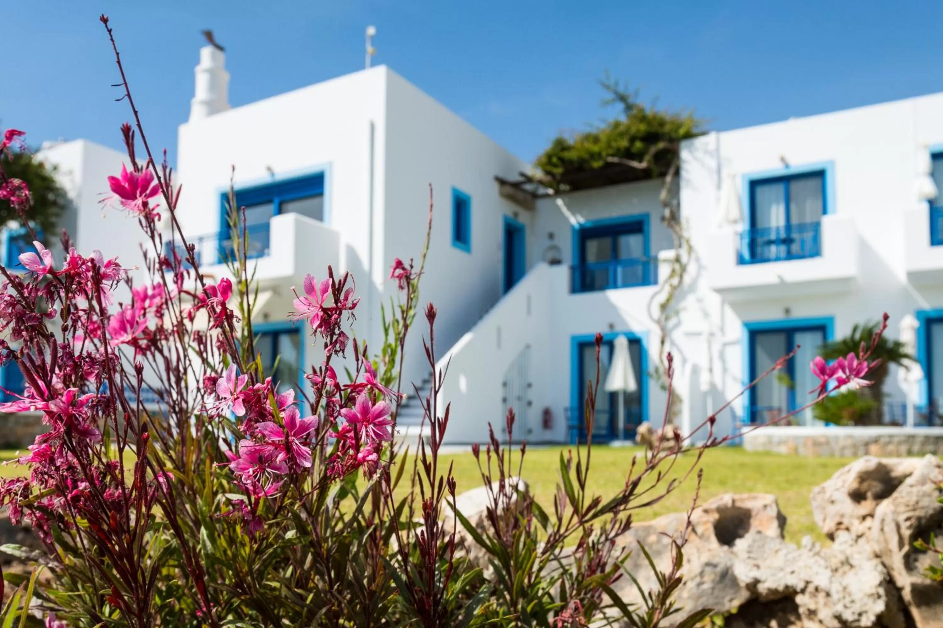 Property building in Bella Vista Stegna