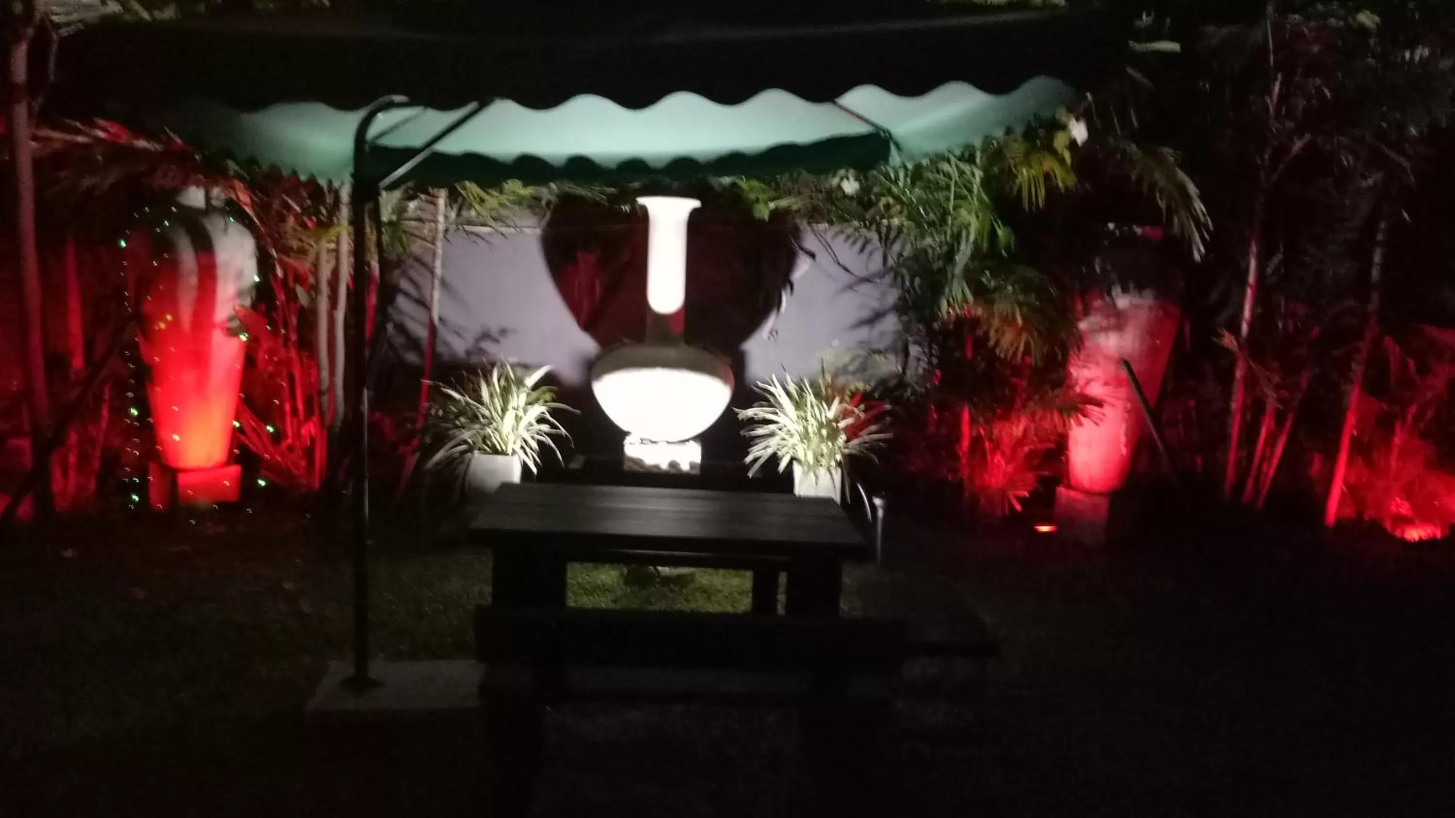 Garden in Palms Villa