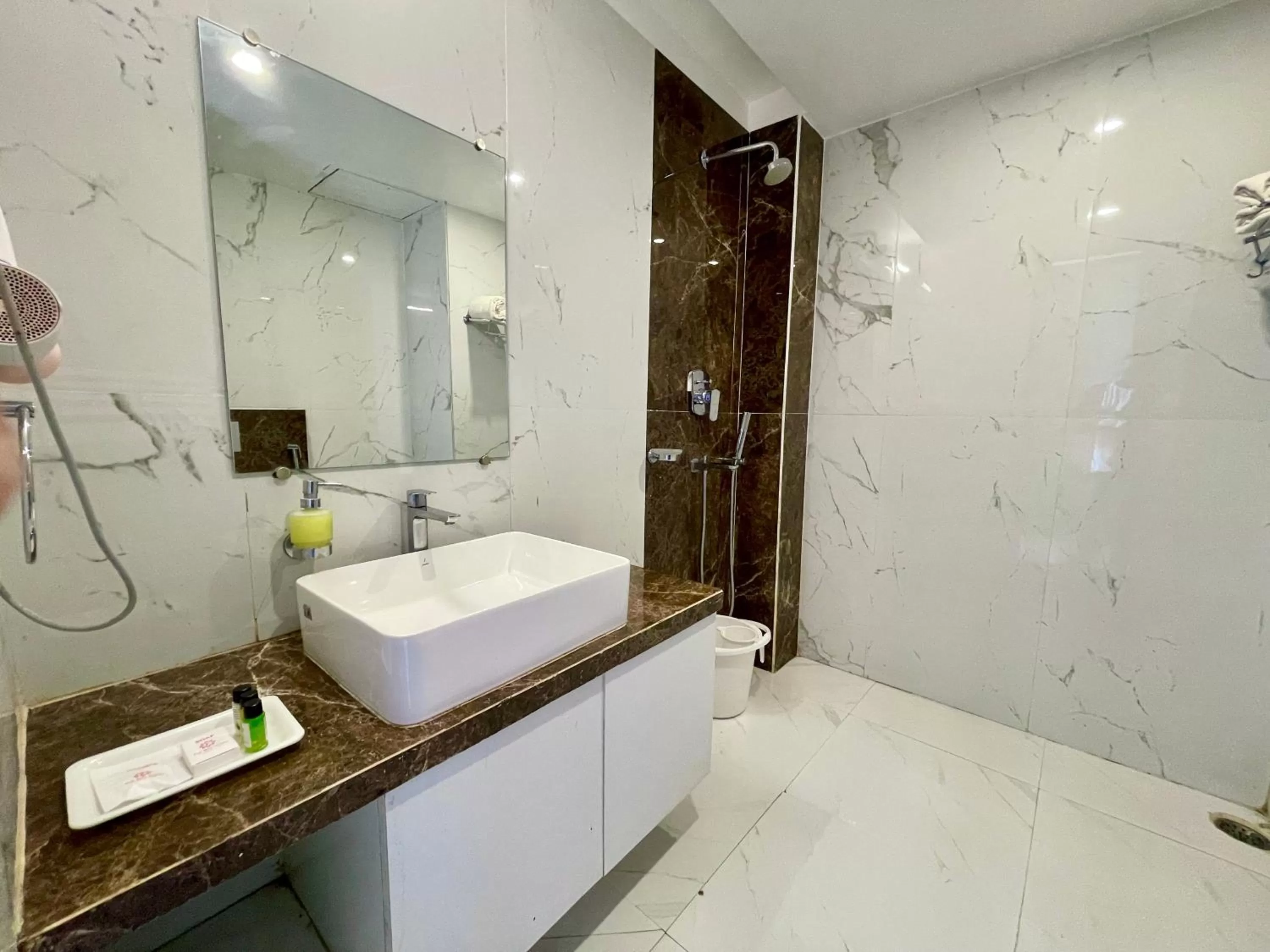 Shower, Bathroom in Hotel TBS sea view ! Puri