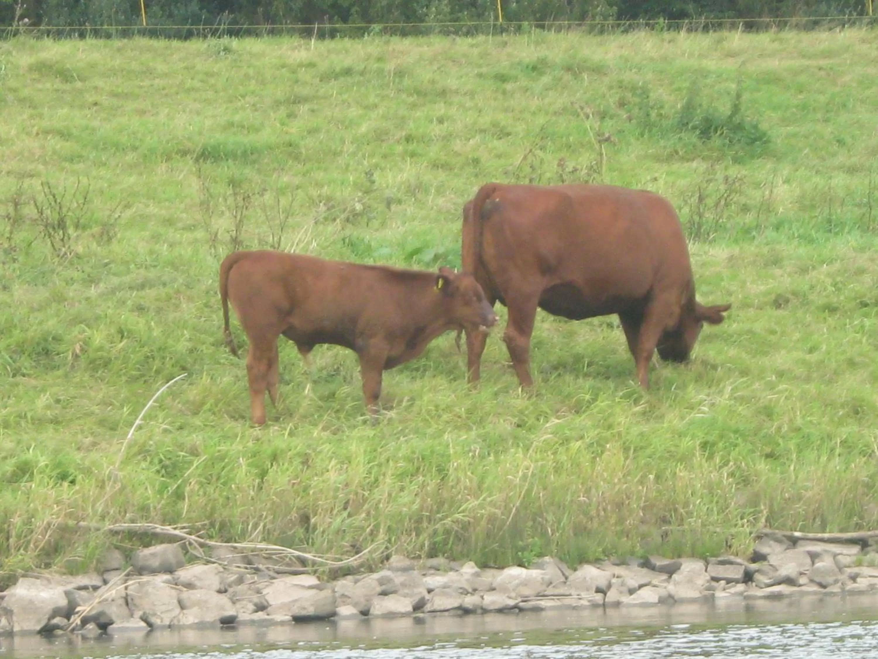 Property building in Hotel Garni Alte Post