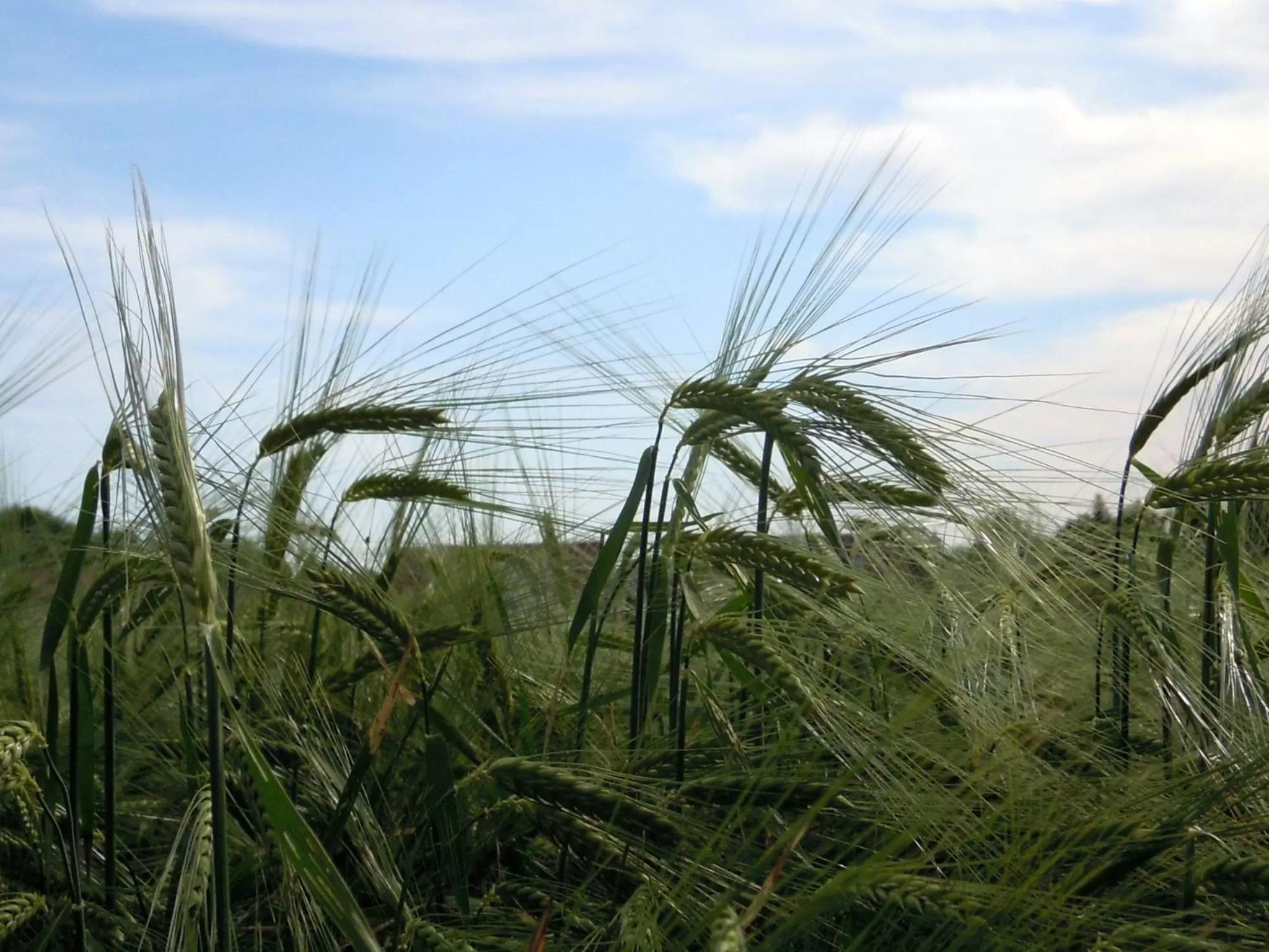 View (from property/room) in Kurhotel Anders