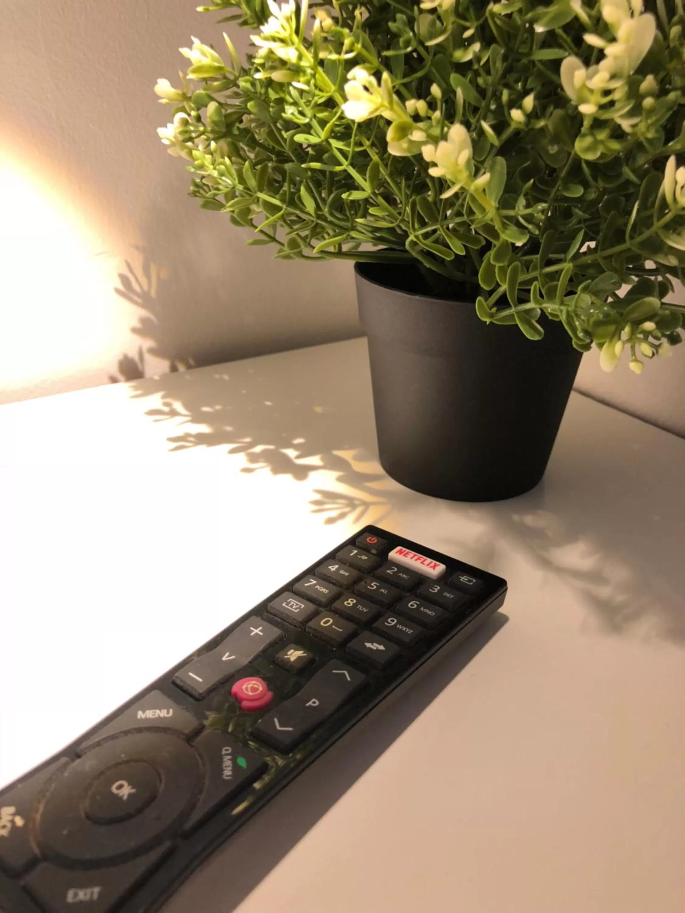 TV and multimedia in Bell Gate House