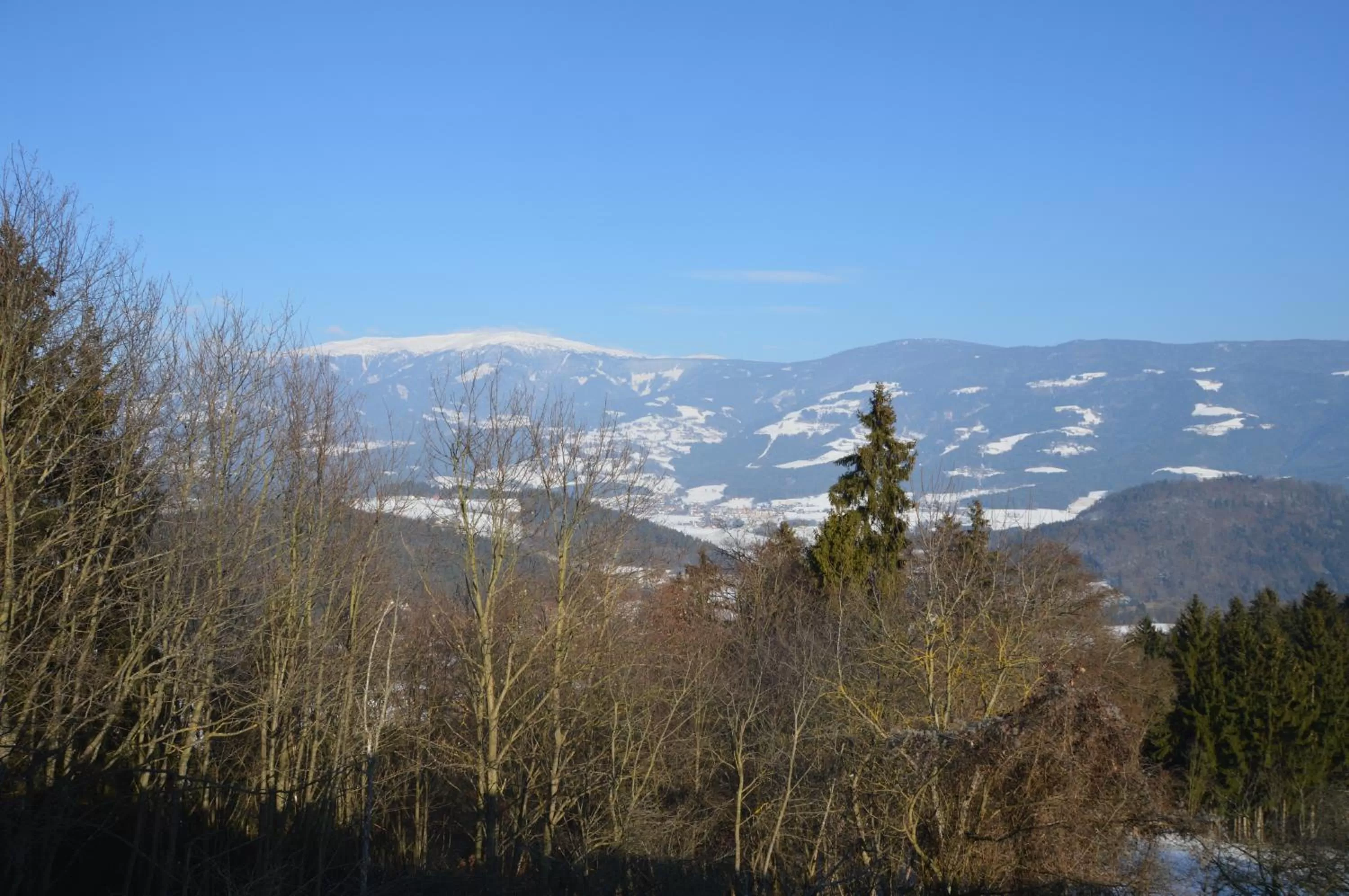 Gasthof Johannesmesner