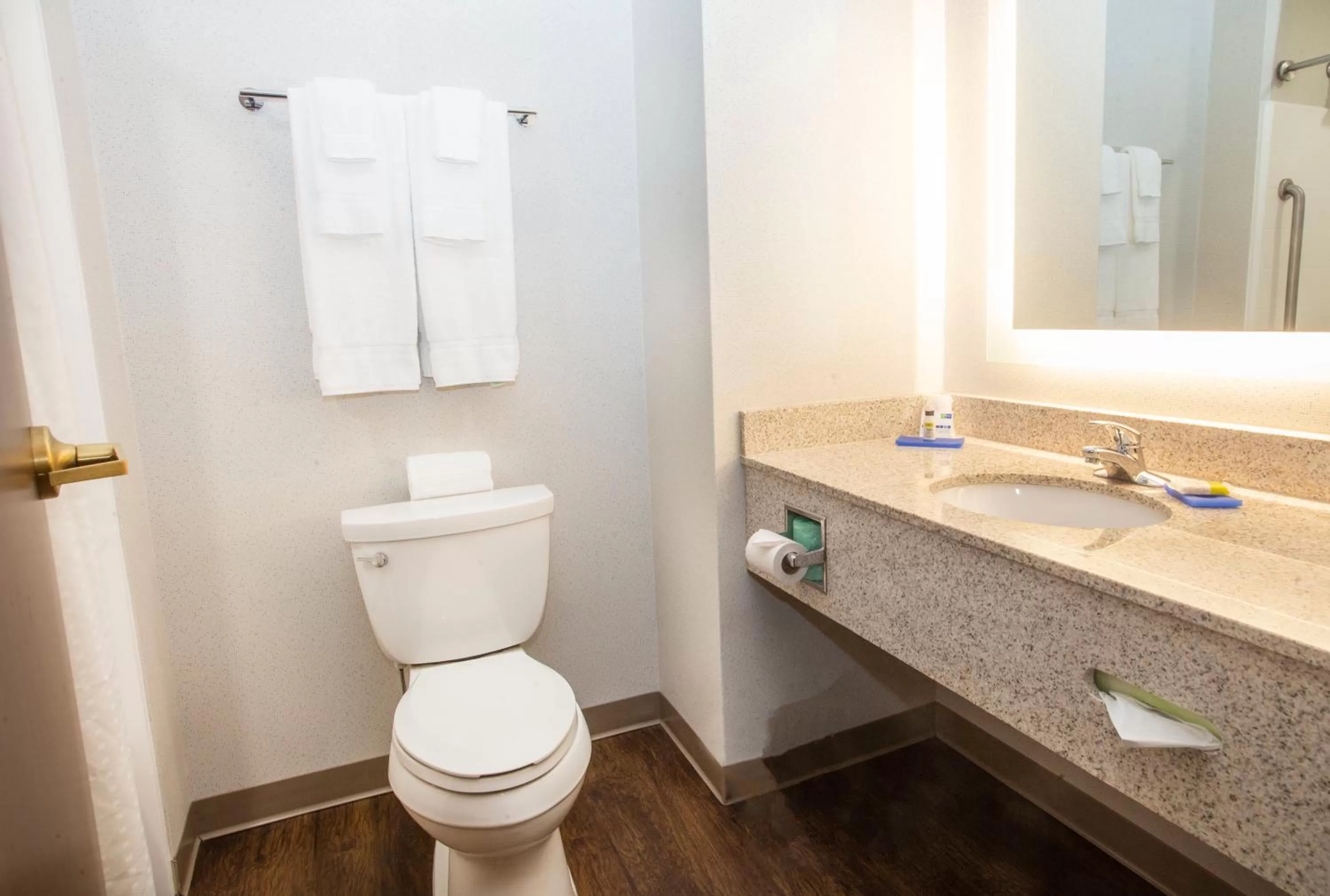 One-Bedroom Suite - Non-Smoking in Holiday Inn Express Hotel & Suites Bethlehem Airport/Allentown area, an IHG Hotel