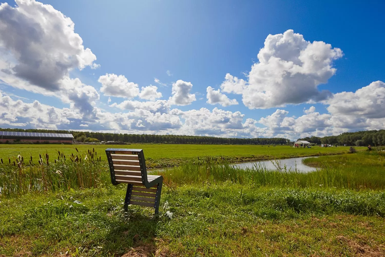 Natural landscape in Buitengoed De Uylenburg