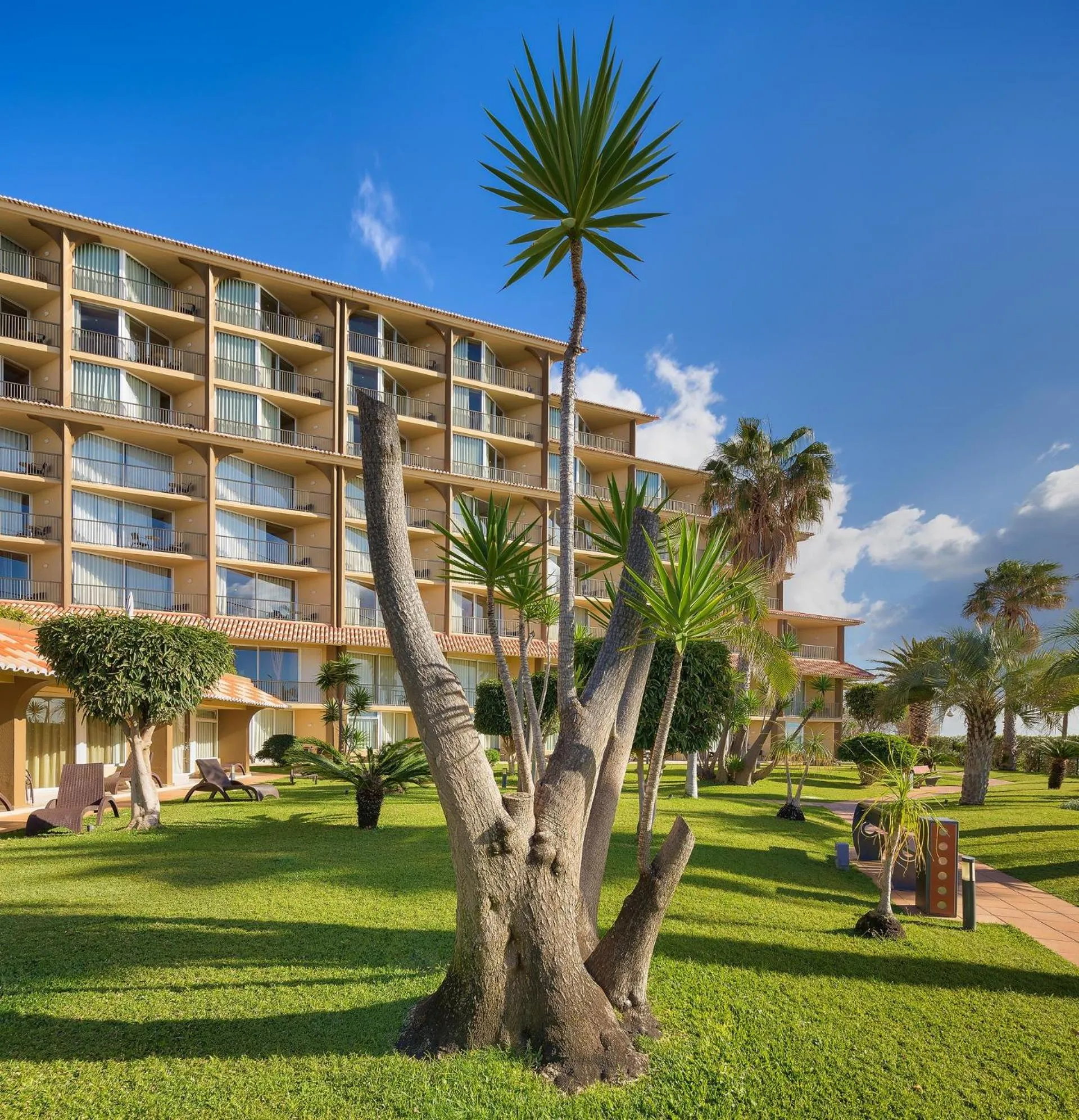 Garden in The Views Oasis