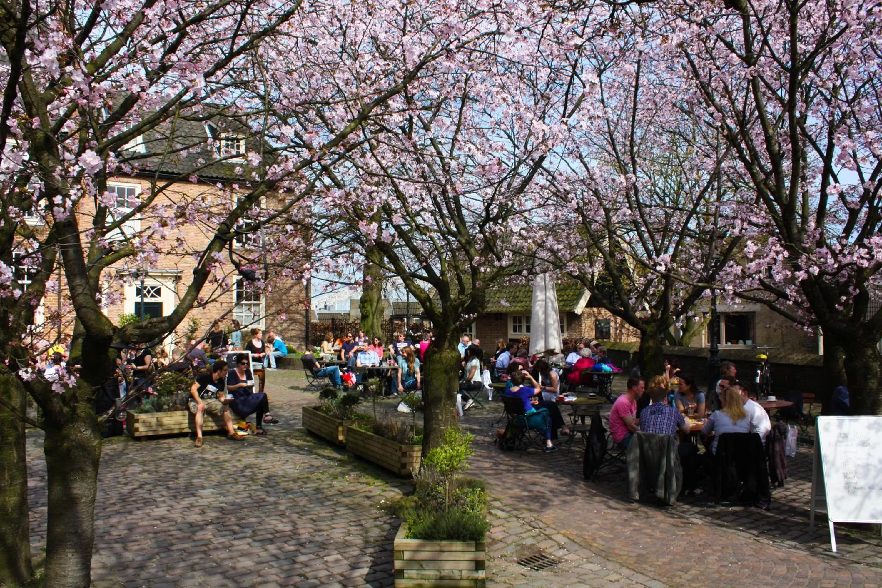 Restaurant/places to eat in De Hemel De Kracht van Ambacht