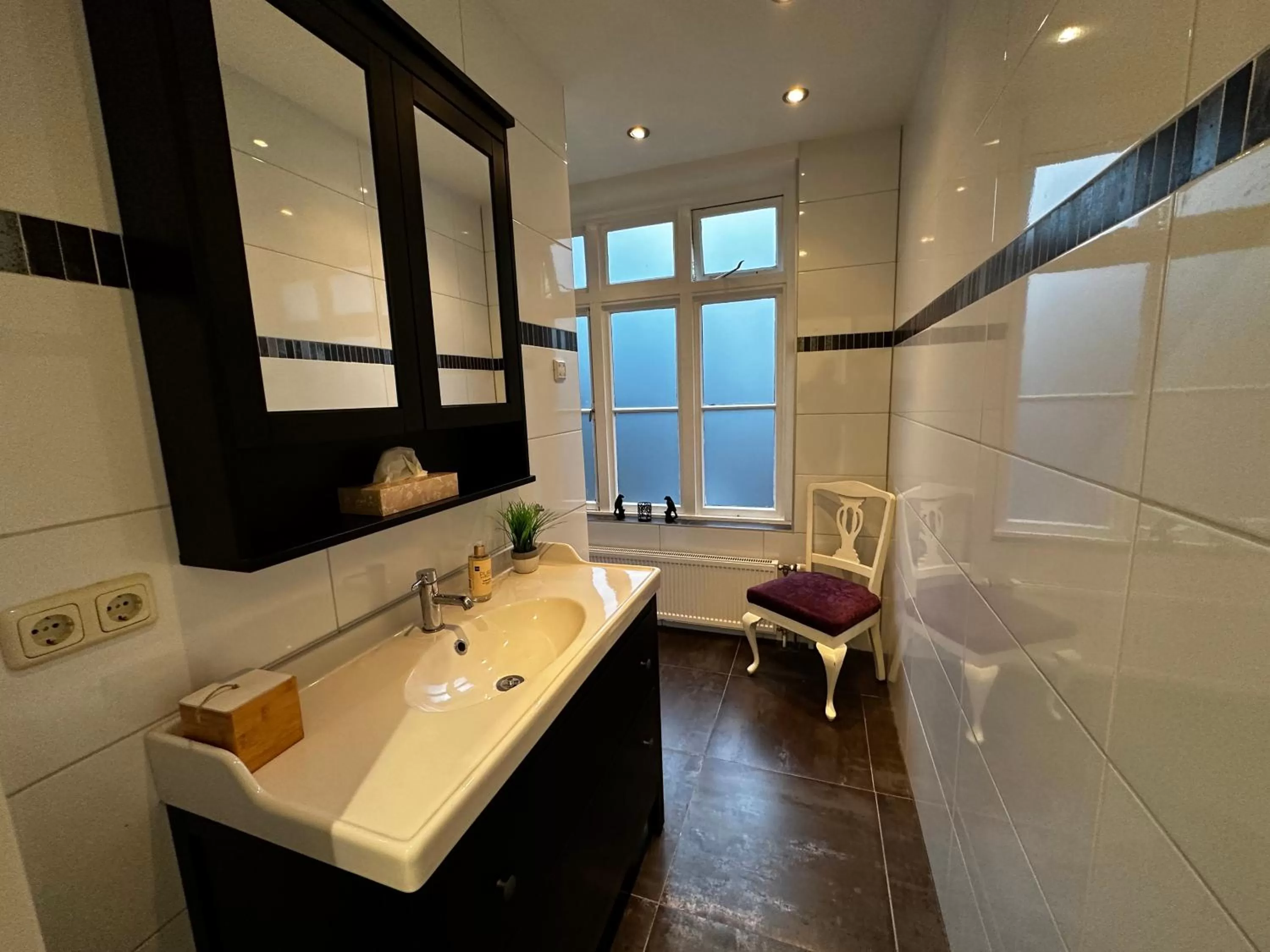 Bathroom in Villa Steenwyck Giethoorn