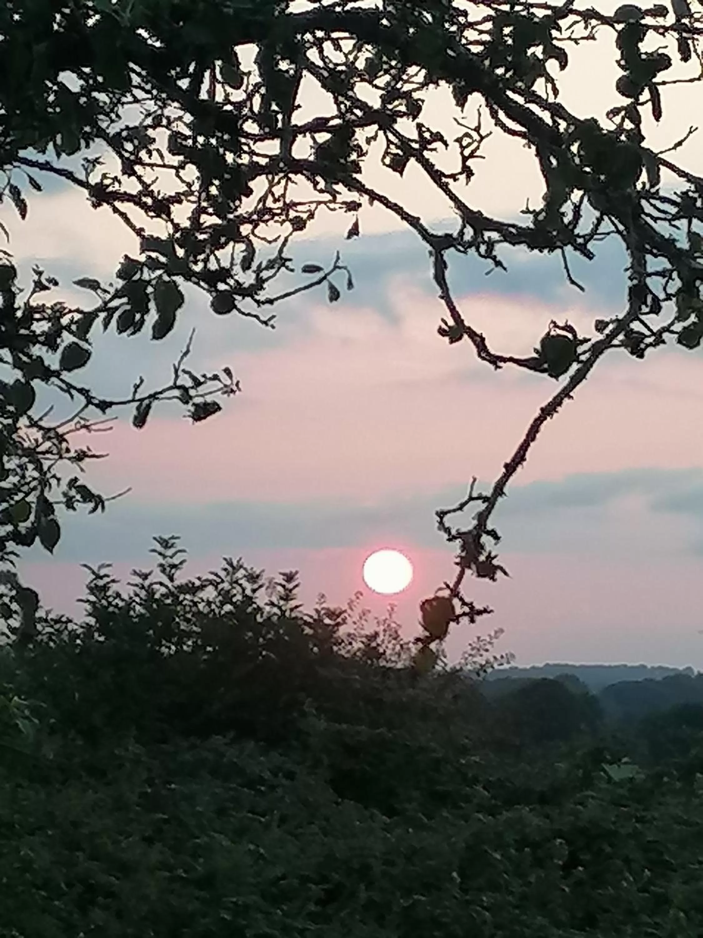 Cable Island Bed and Breakfast