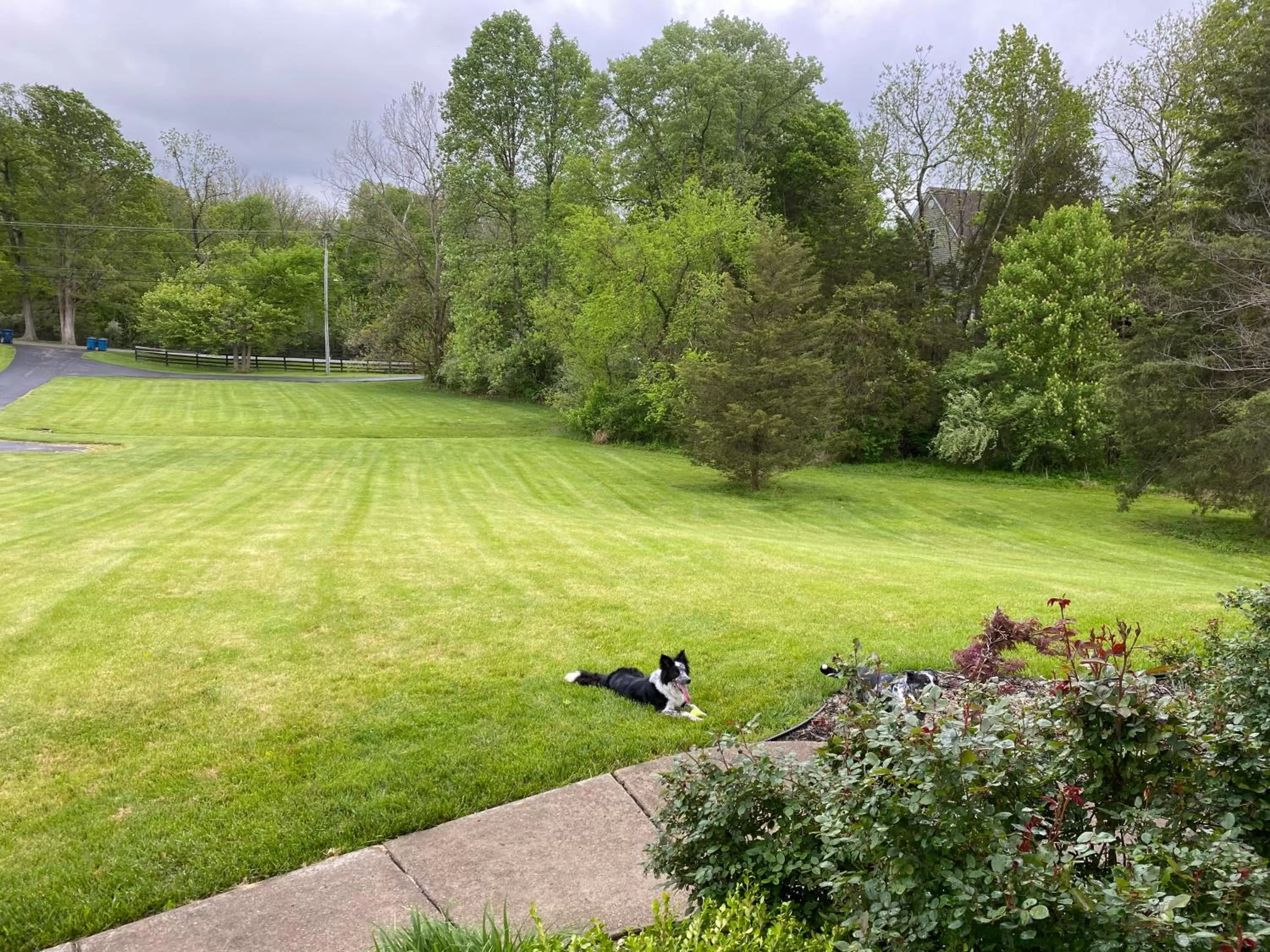 Garden view in Pillow and Paddock B&B