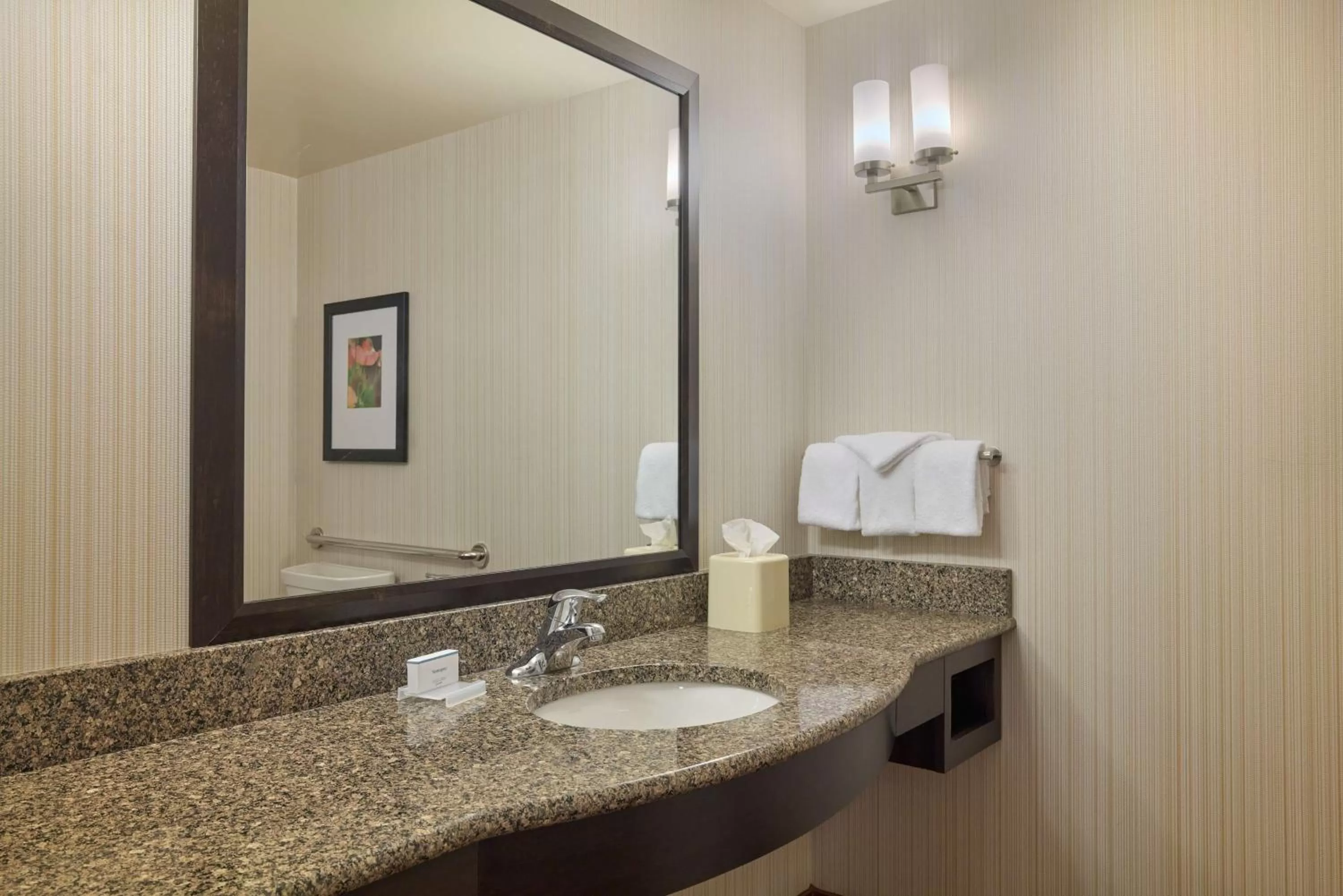 Bathroom in Hilton Garden Inn Hershey