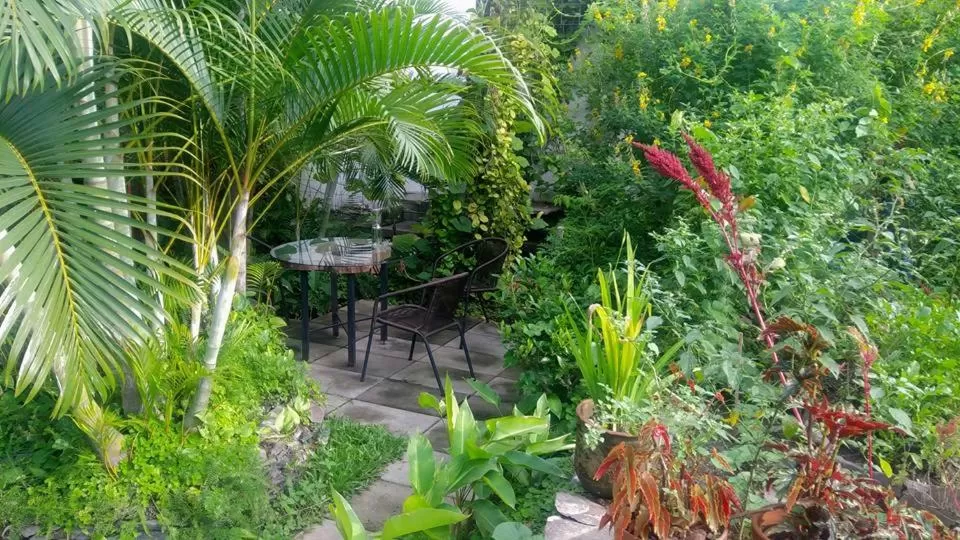 Restaurant/places to eat in Cinco Hotel B&B