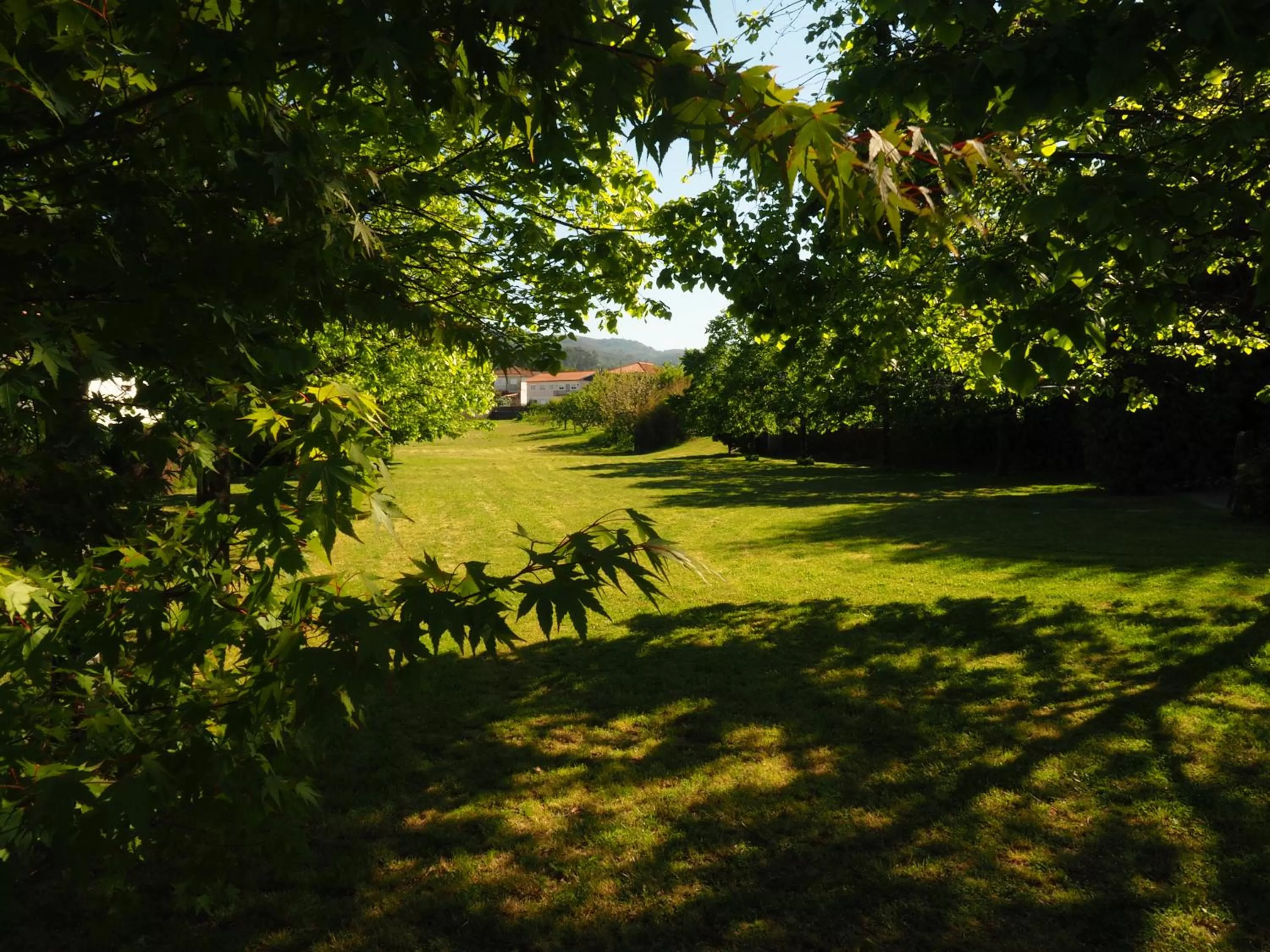 Garden in Hotel Solar das Laranjeiras