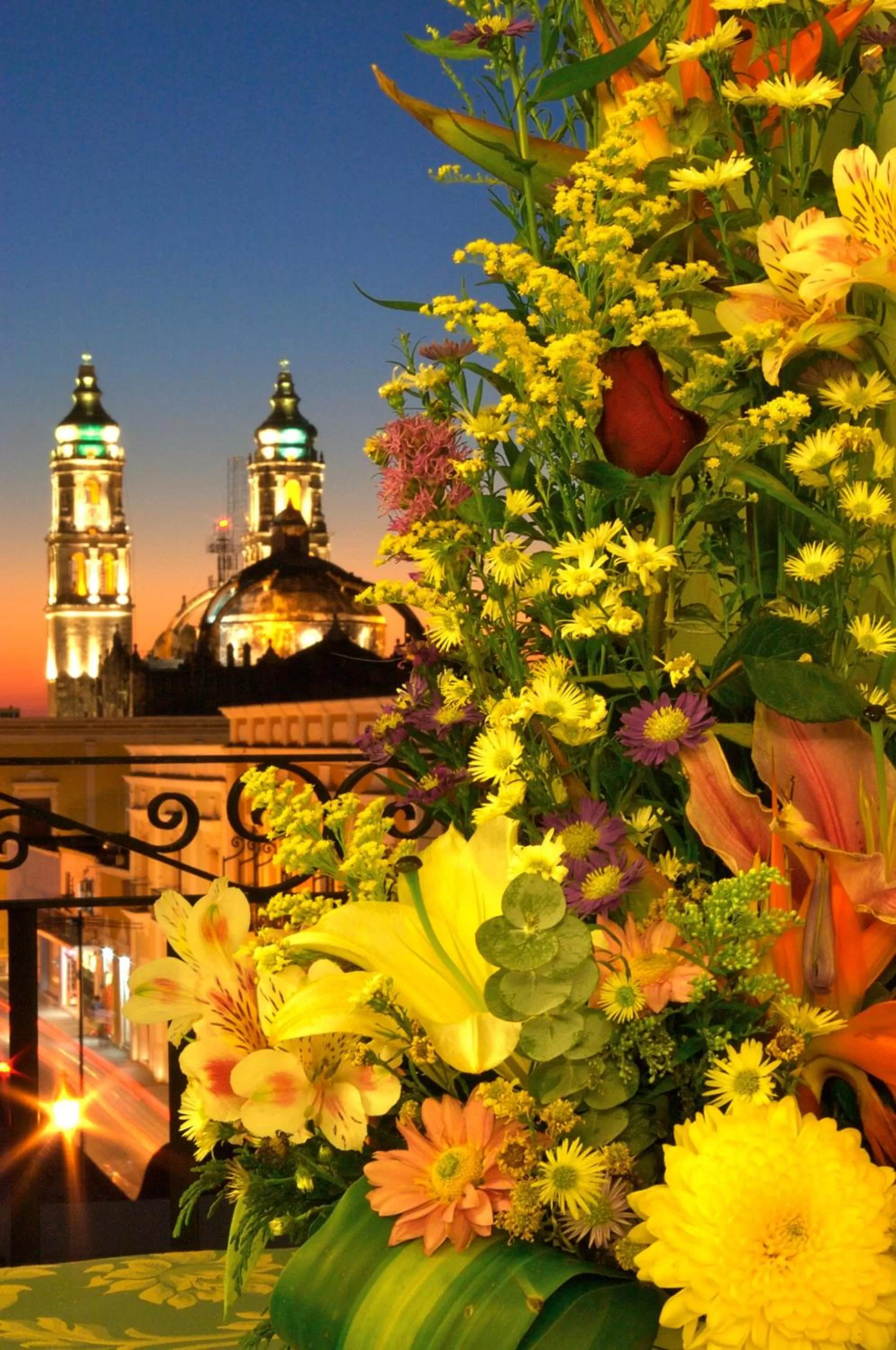 View (from property/room) in Hotel Plaza Colonial