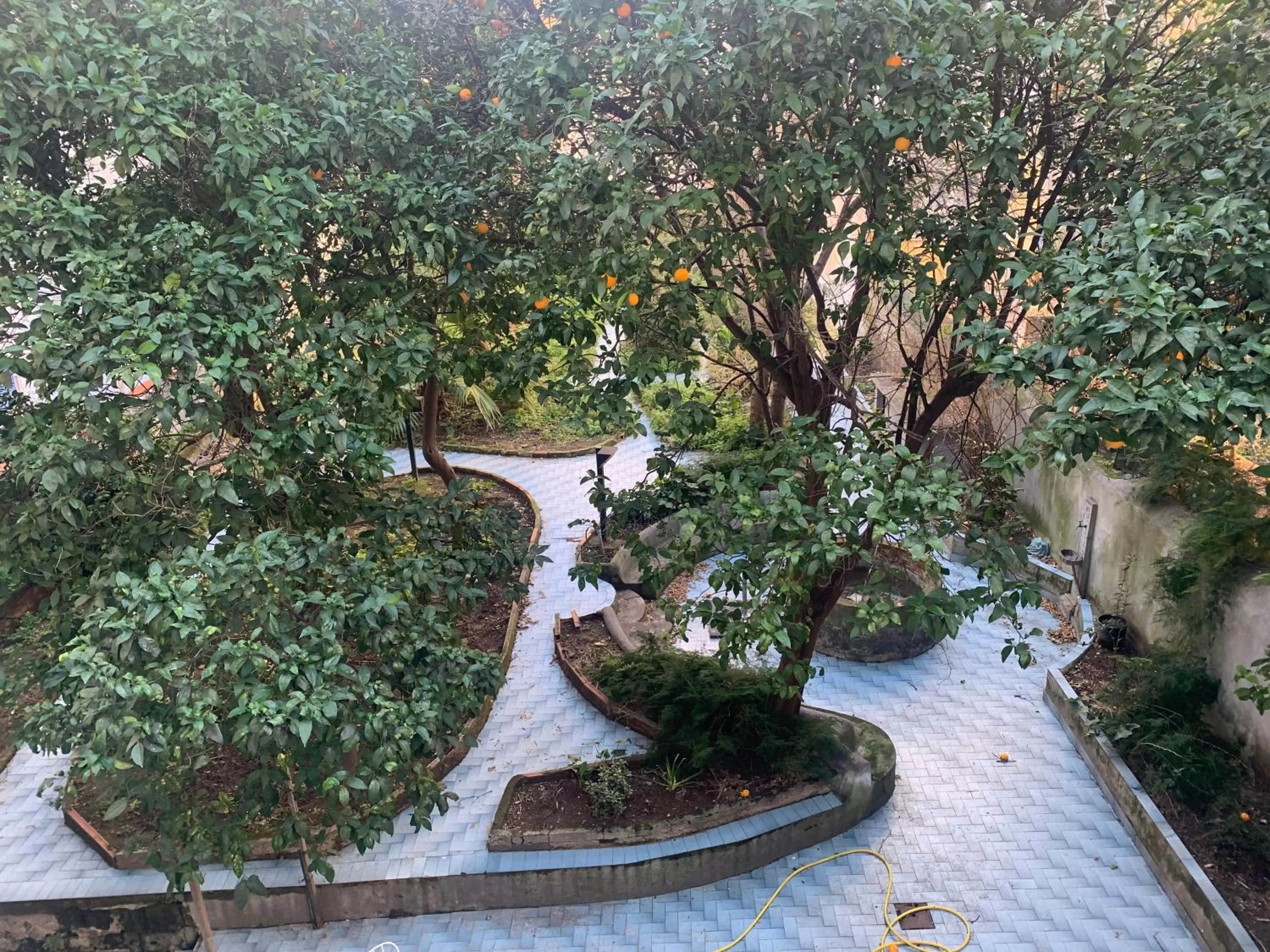 Garden in Le Stanze Del Vicerè Boutique Hotel