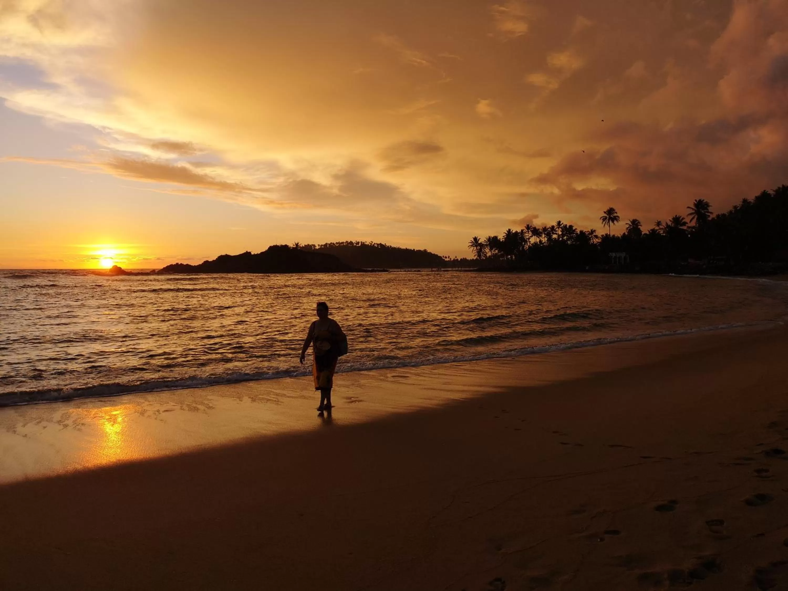 Turtle Bay Beach Resort