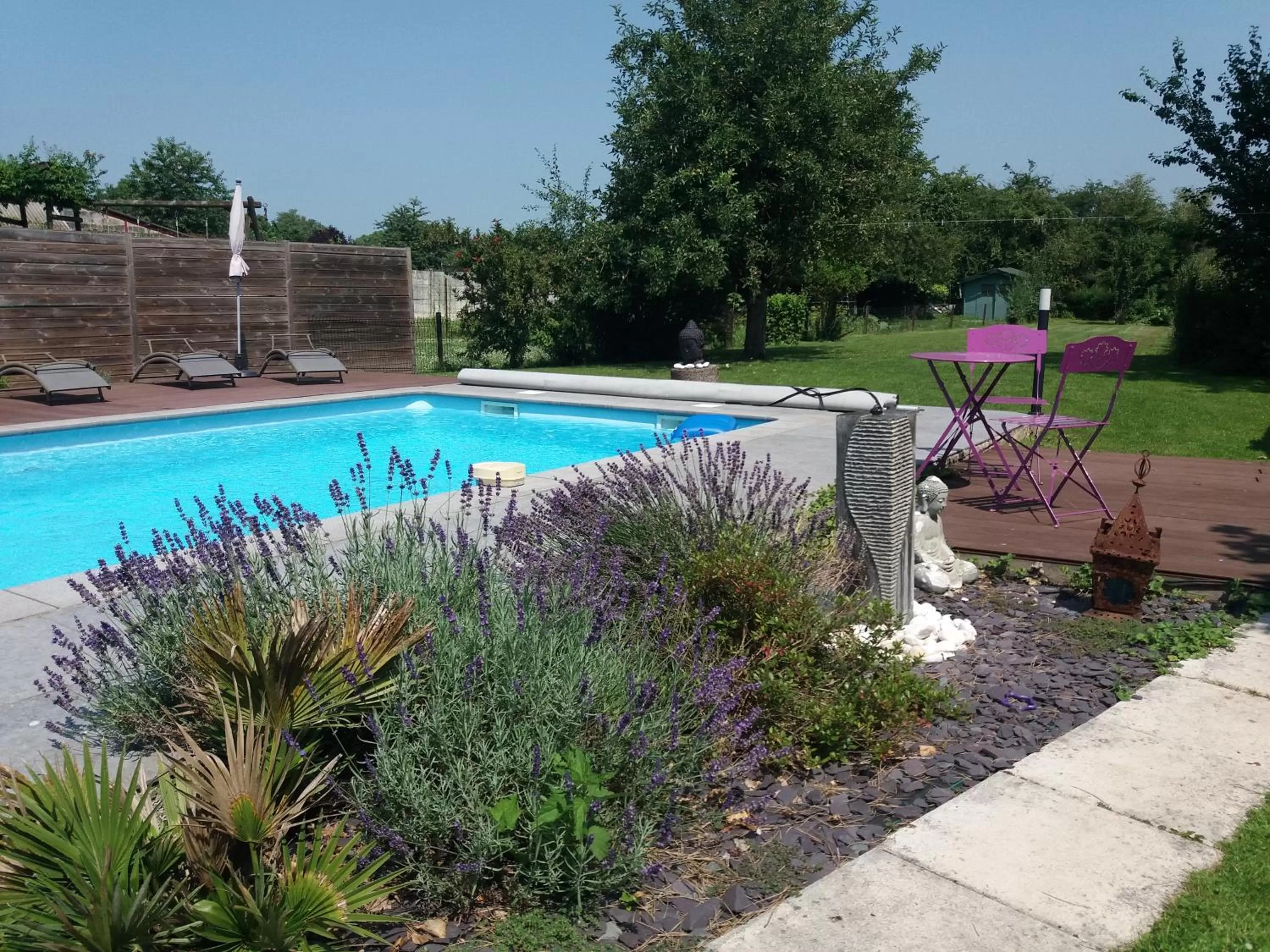 Swimming pool in chambres d hotes ,hotel ,Secret d'une Nuit a vicq prės de onnaing,avec piscine