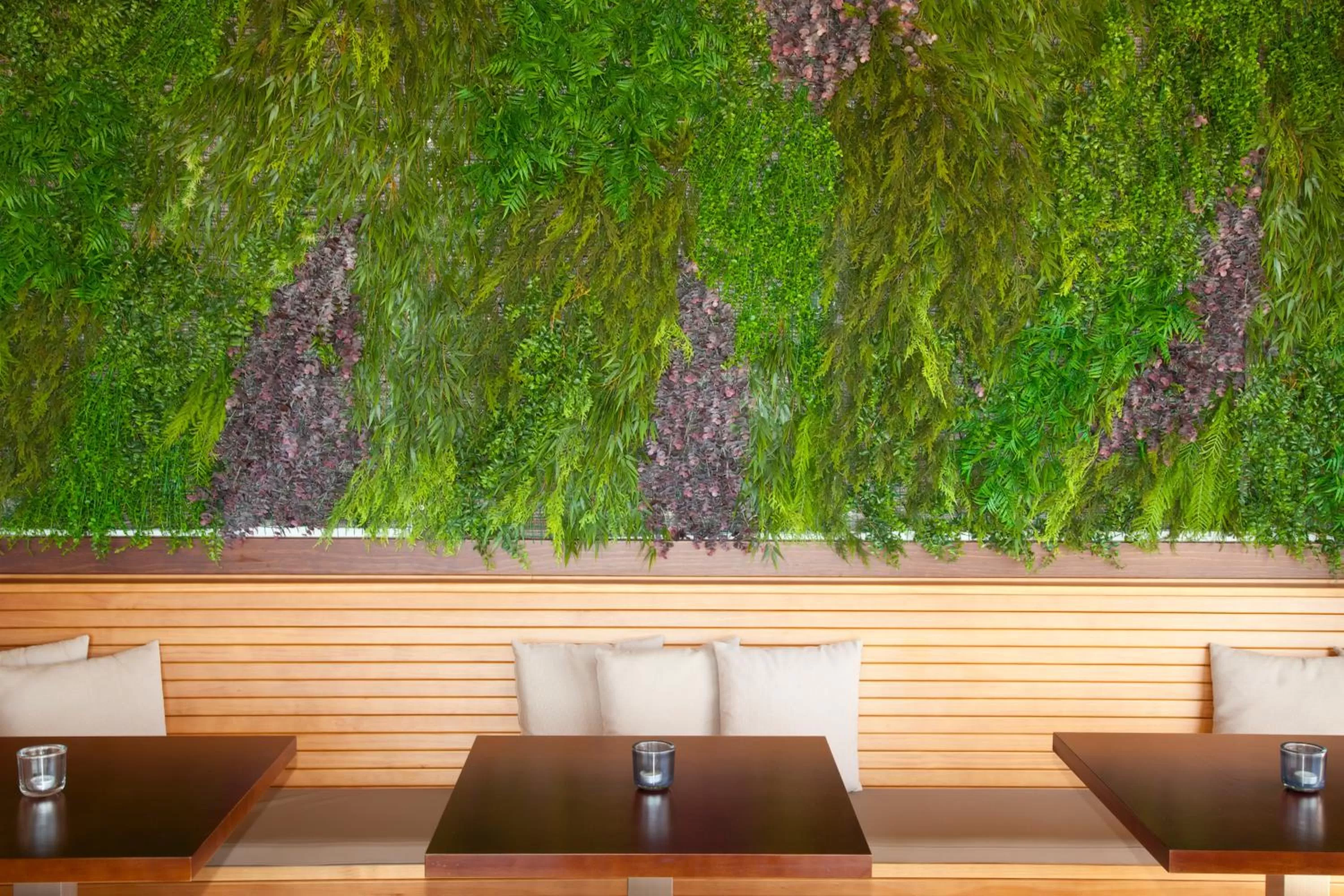 Restaurant/places to eat in Hotel Tarik