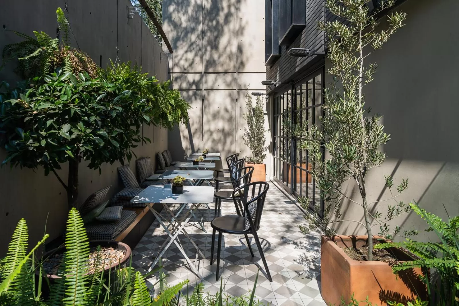 Restaurant/places to eat in The Wild Oscar