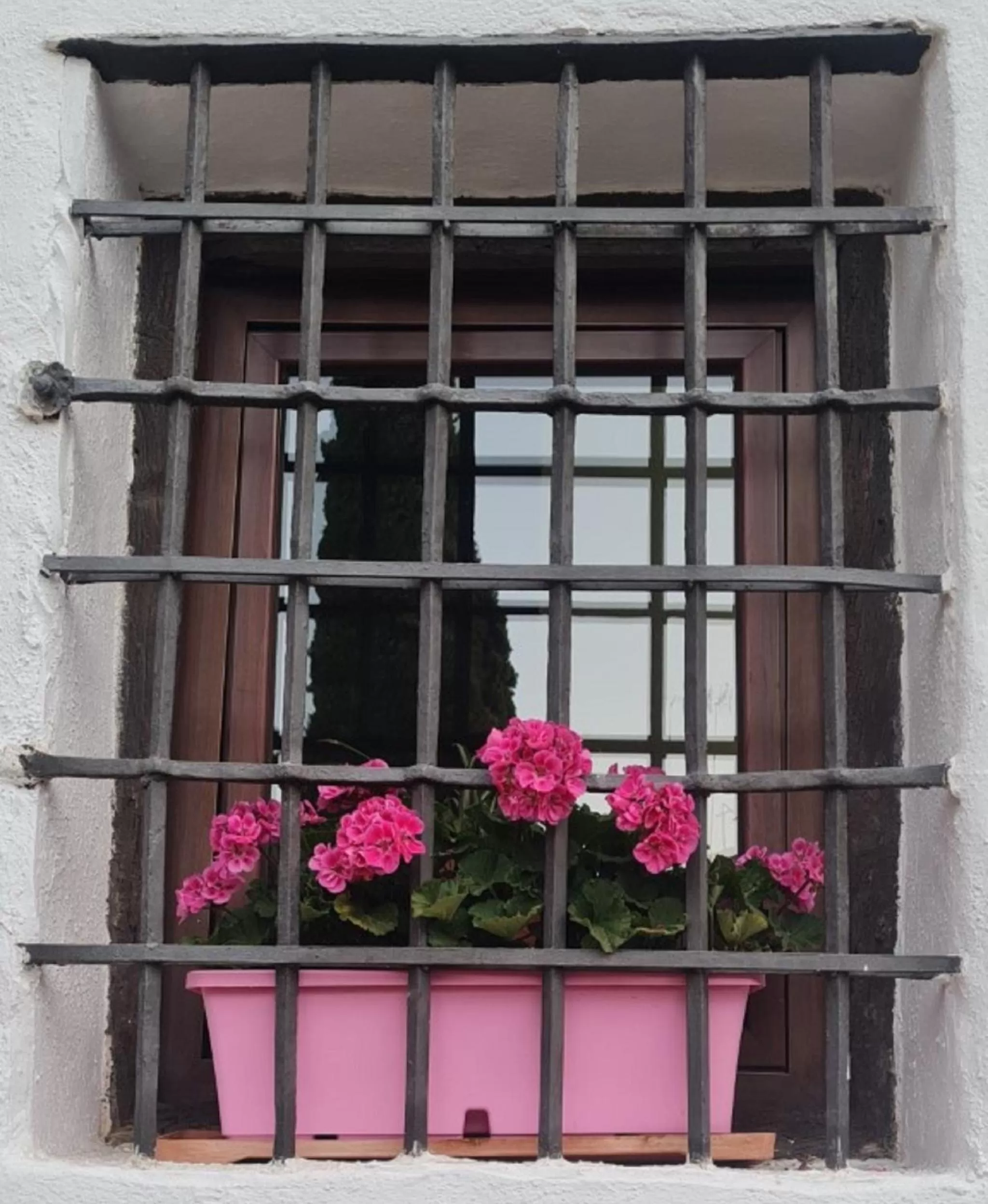 Property building in Hotel Plateros