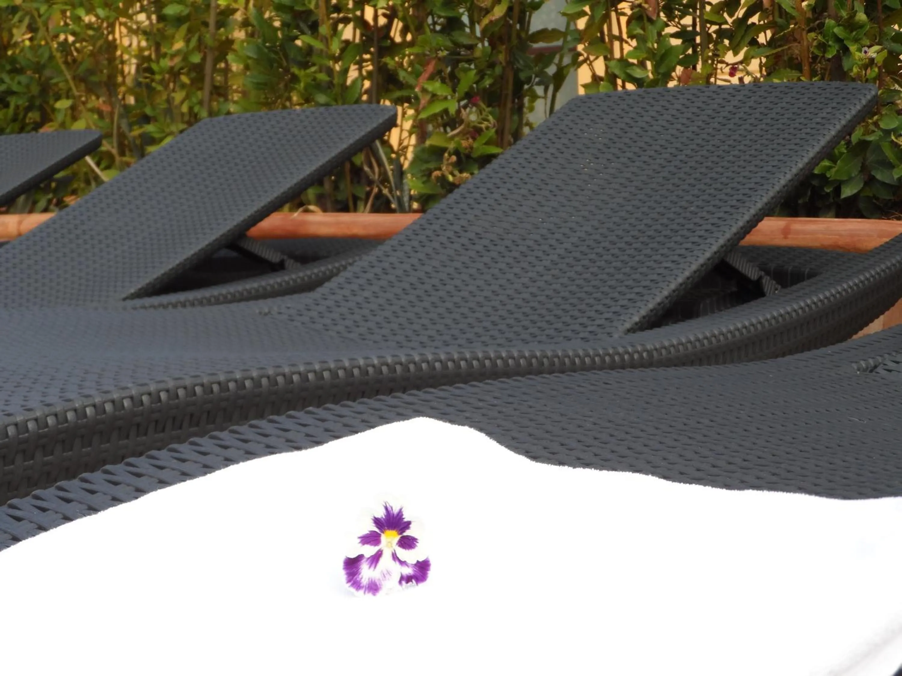 Balcony/Terrace in Palazzo Jannuzzi Relais