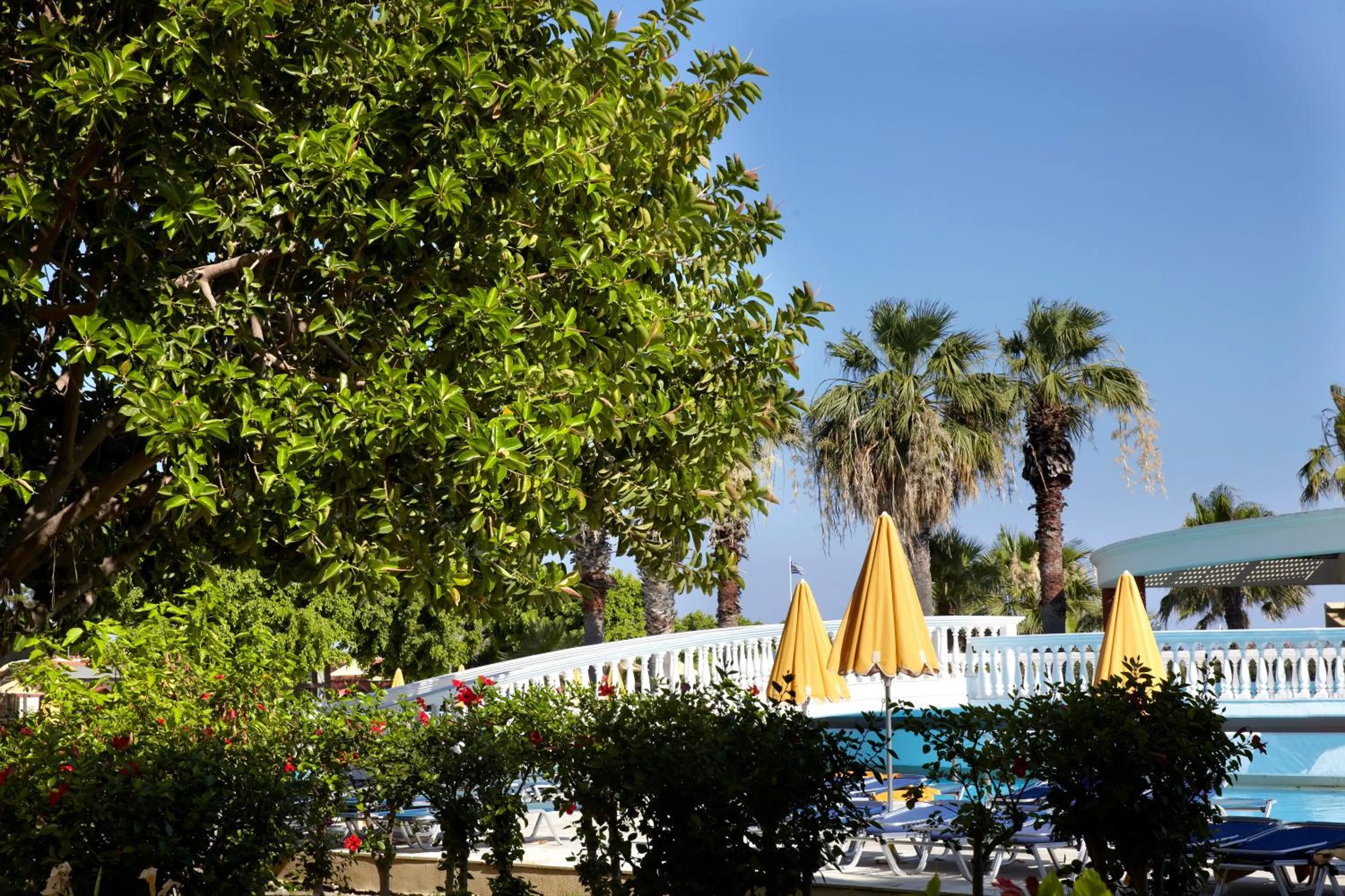 Property building in Sunshine Rhodes