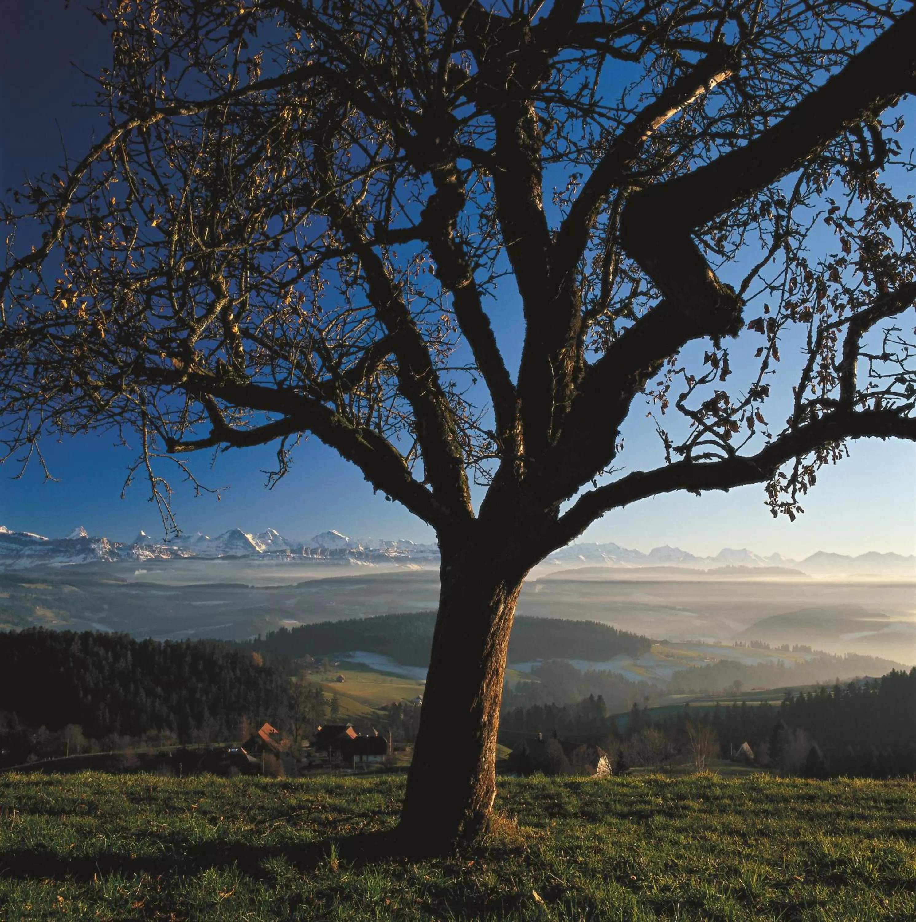 Natural landscape in BnB SchlafSchloss