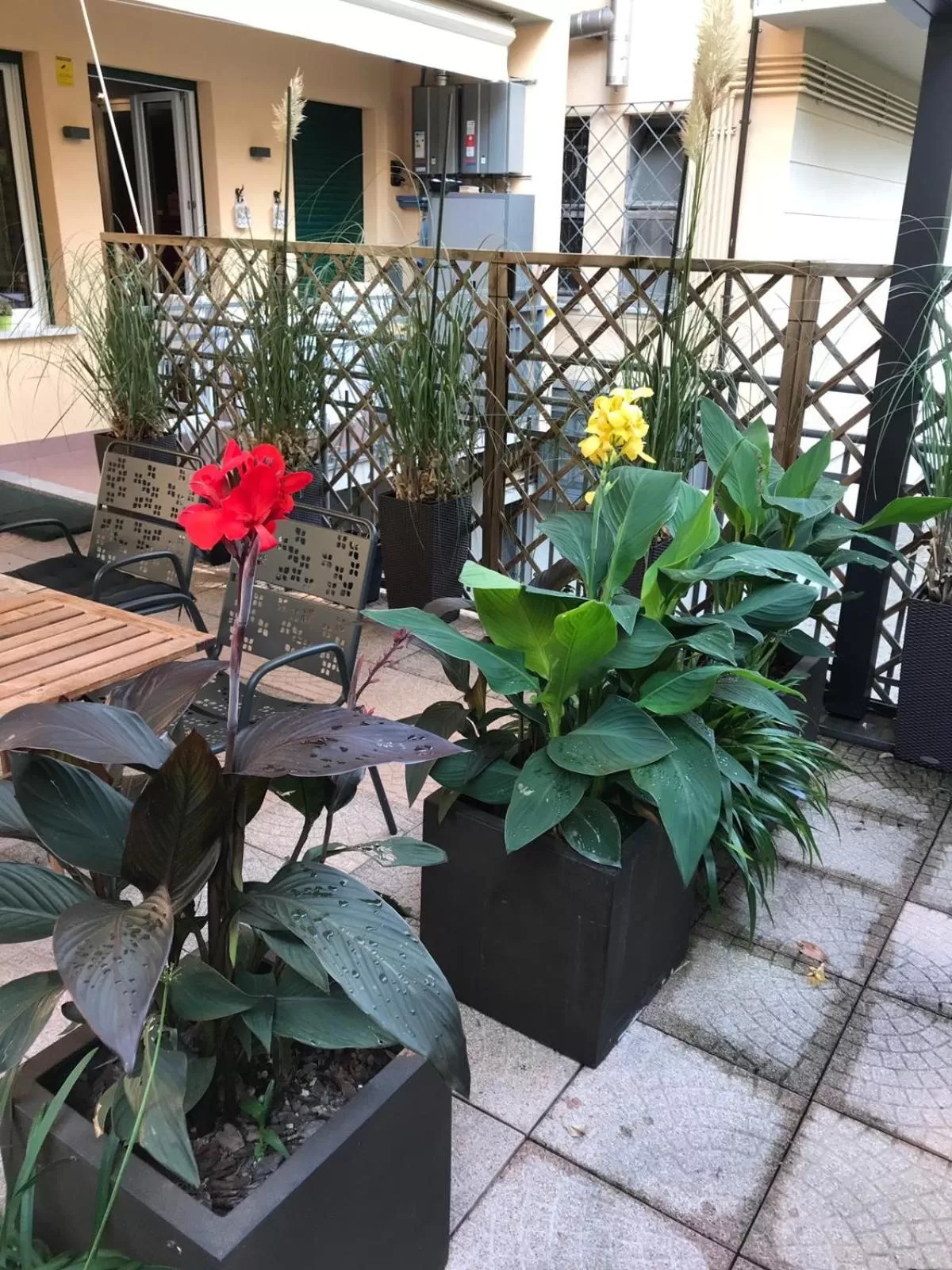 Patio in Smart House Rental Rooms FREE PARKING