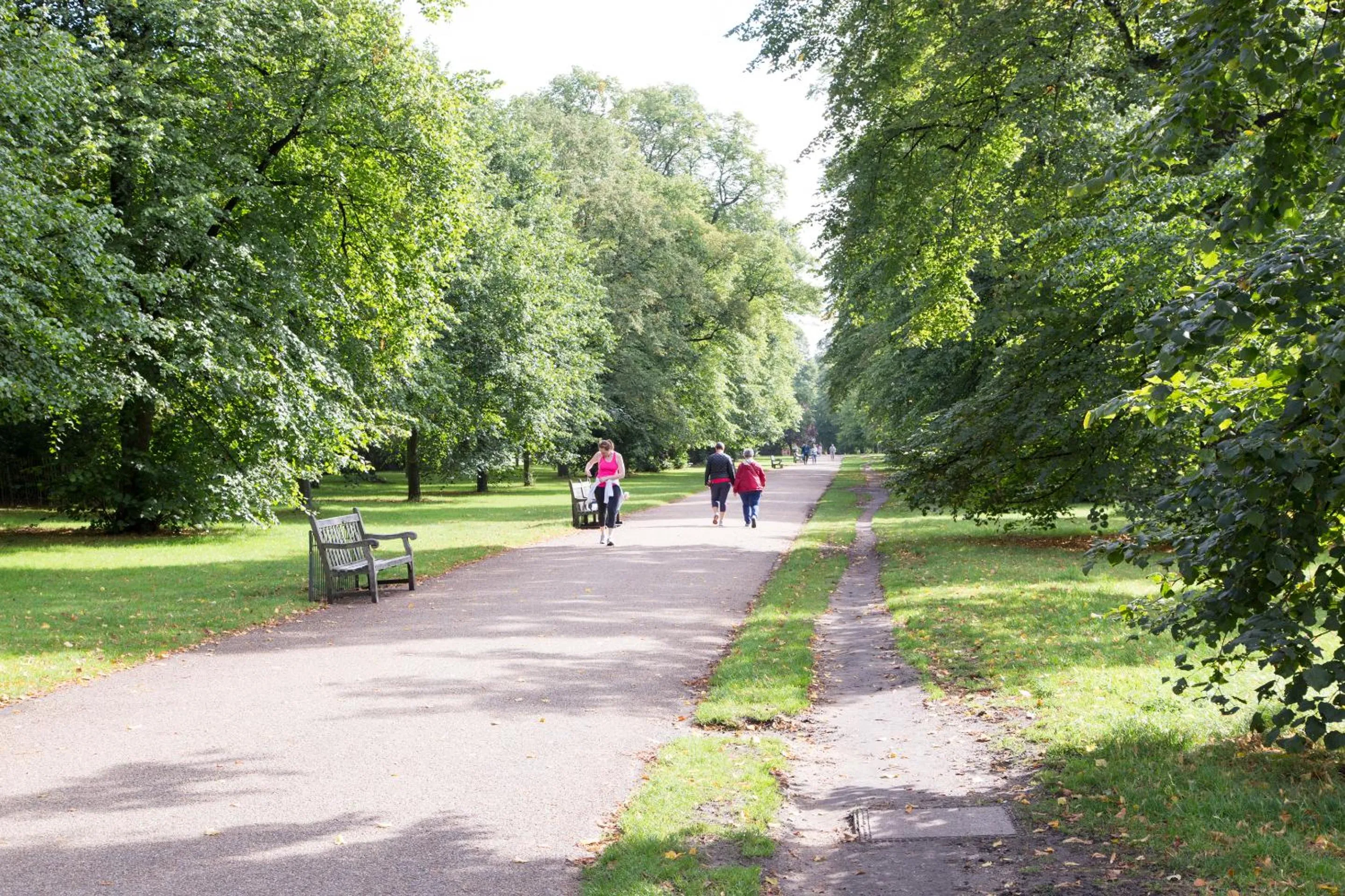 Natural landscape in Thistle London Hyde Park Kensington Gardens