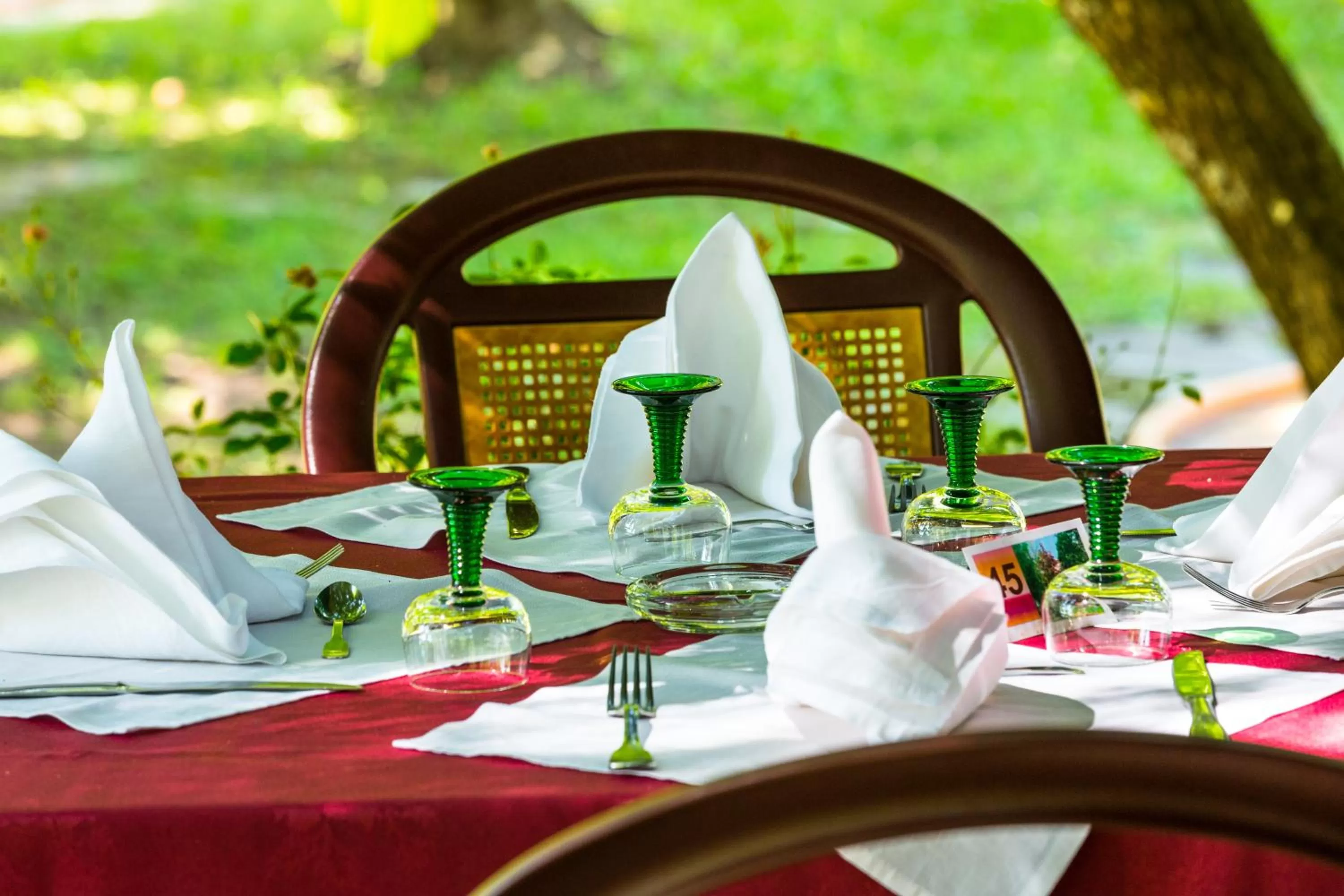 Restaurant/places to eat in Hôtel Restaurant Pavillon Carina