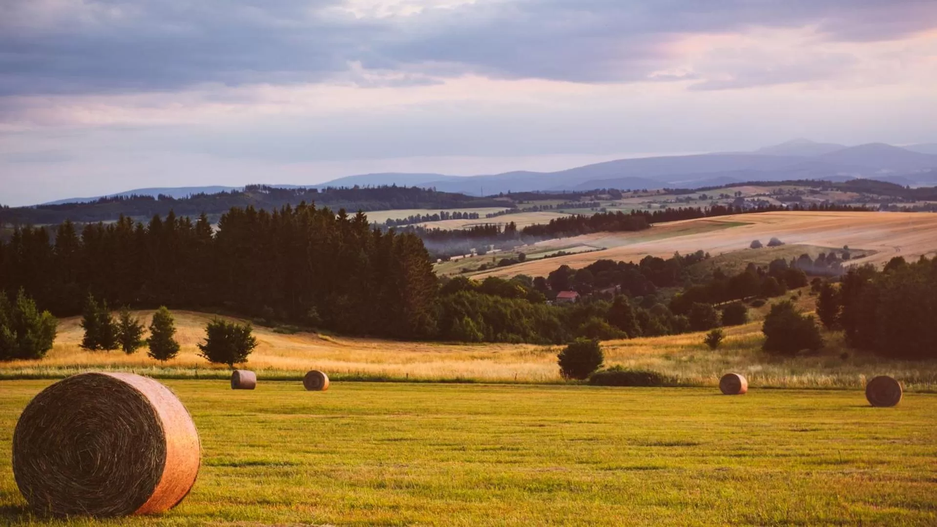 Activities in Hotel Piotr Spa&Wellness