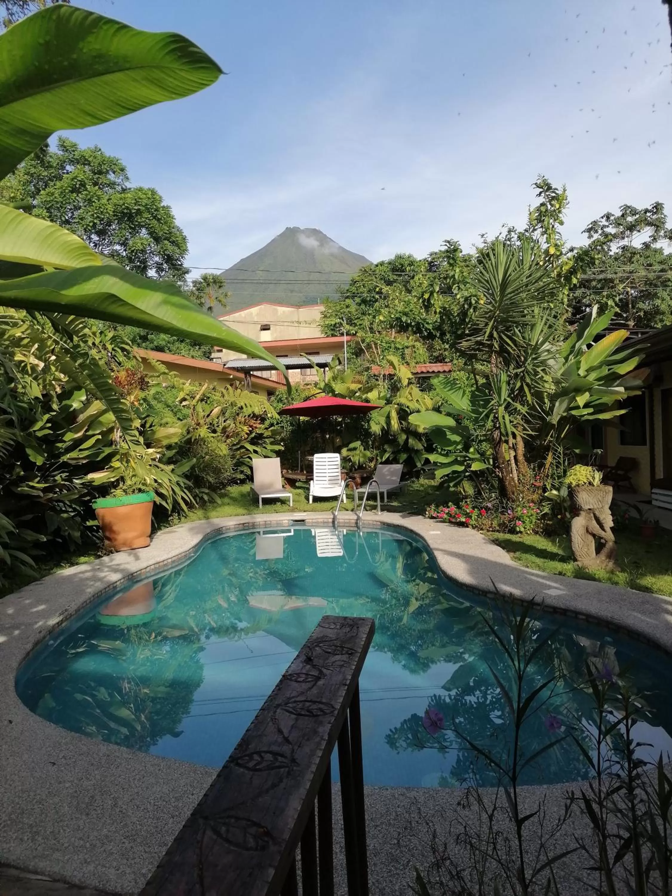 Swimming pool in Hotel Arte Natura