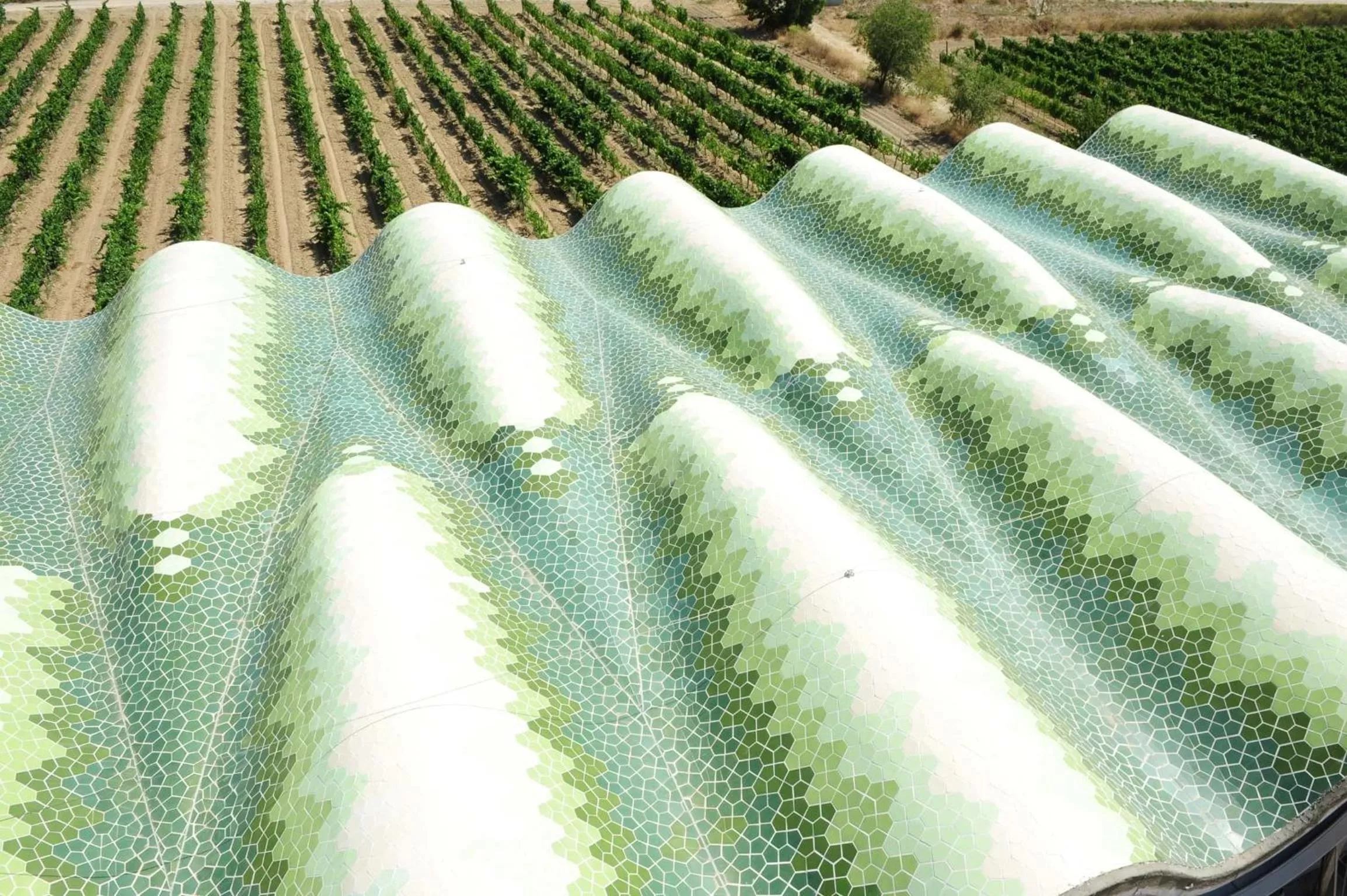 Bird's eye view in Mastinell Cava & Boutique Hotel by Olivia Hotels Collection