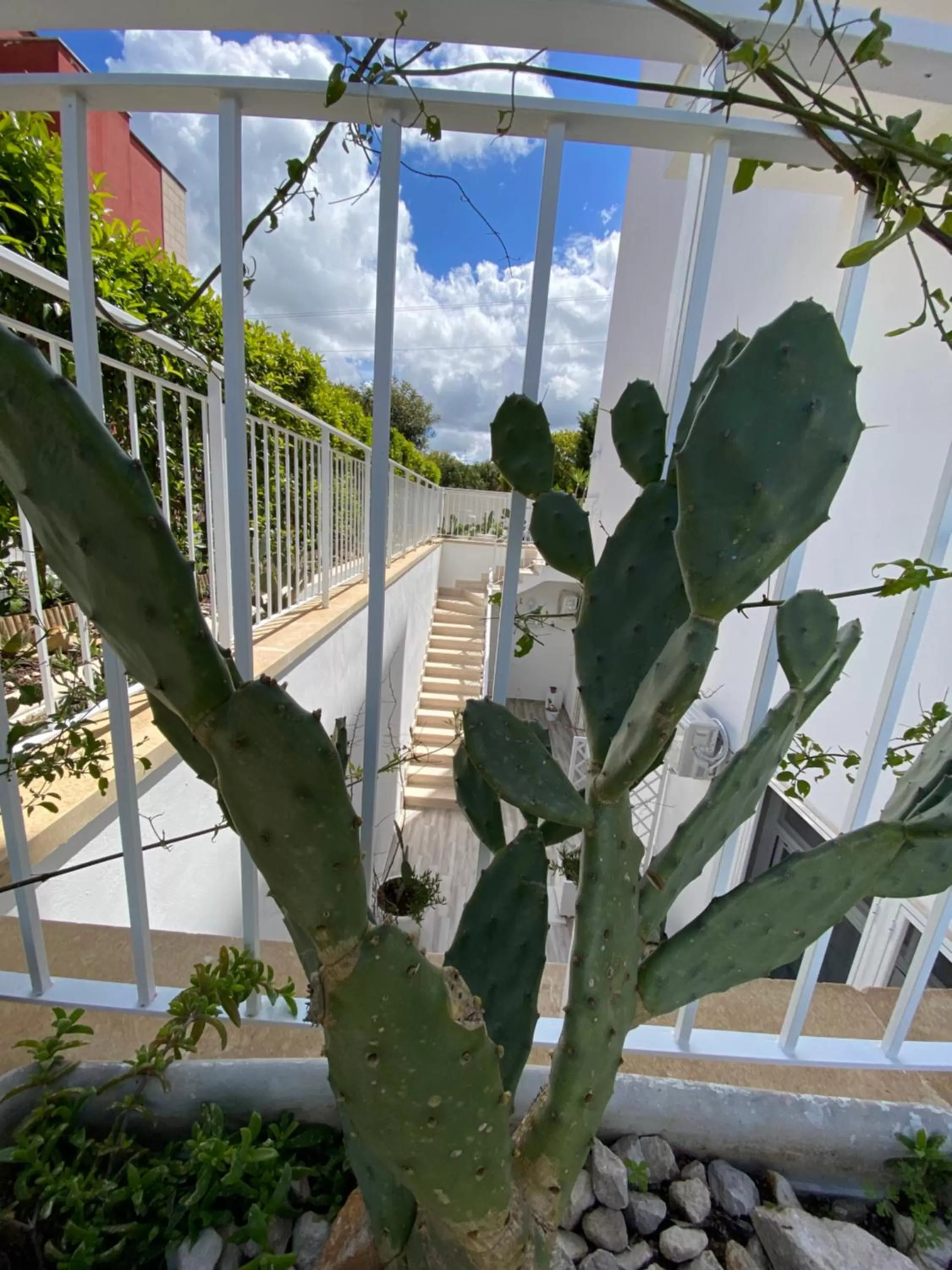 Property building in La casa di Nina