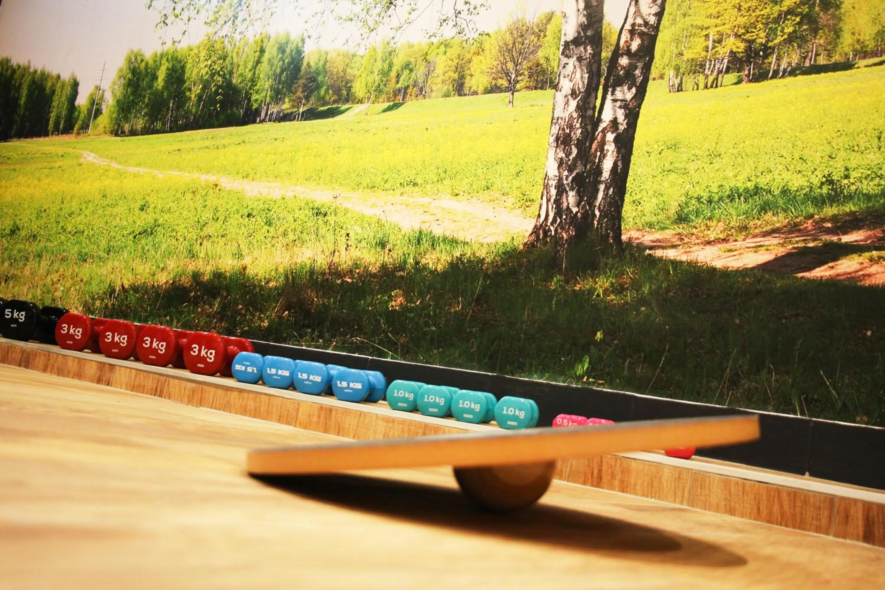 Fitness centre/facilities in Hotel Roses