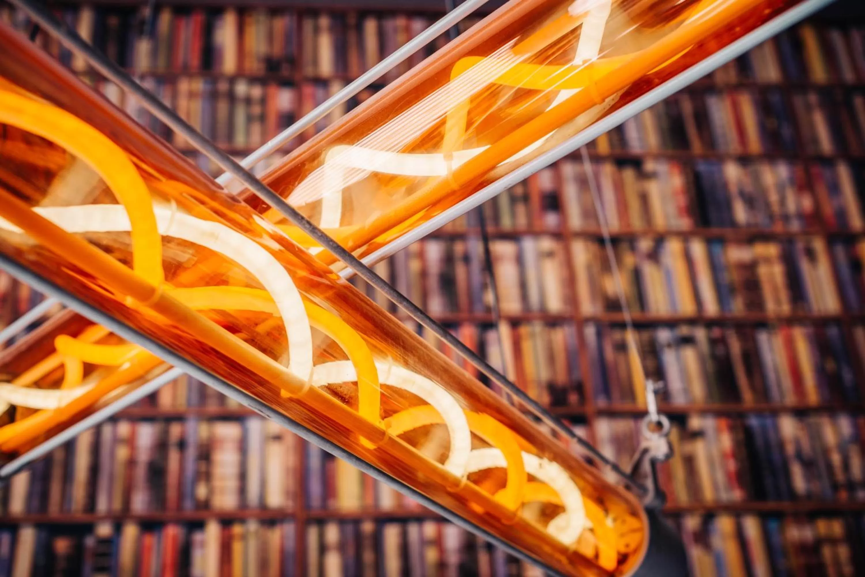 Decorative detail in BALTAZÁR Boutique Hotel