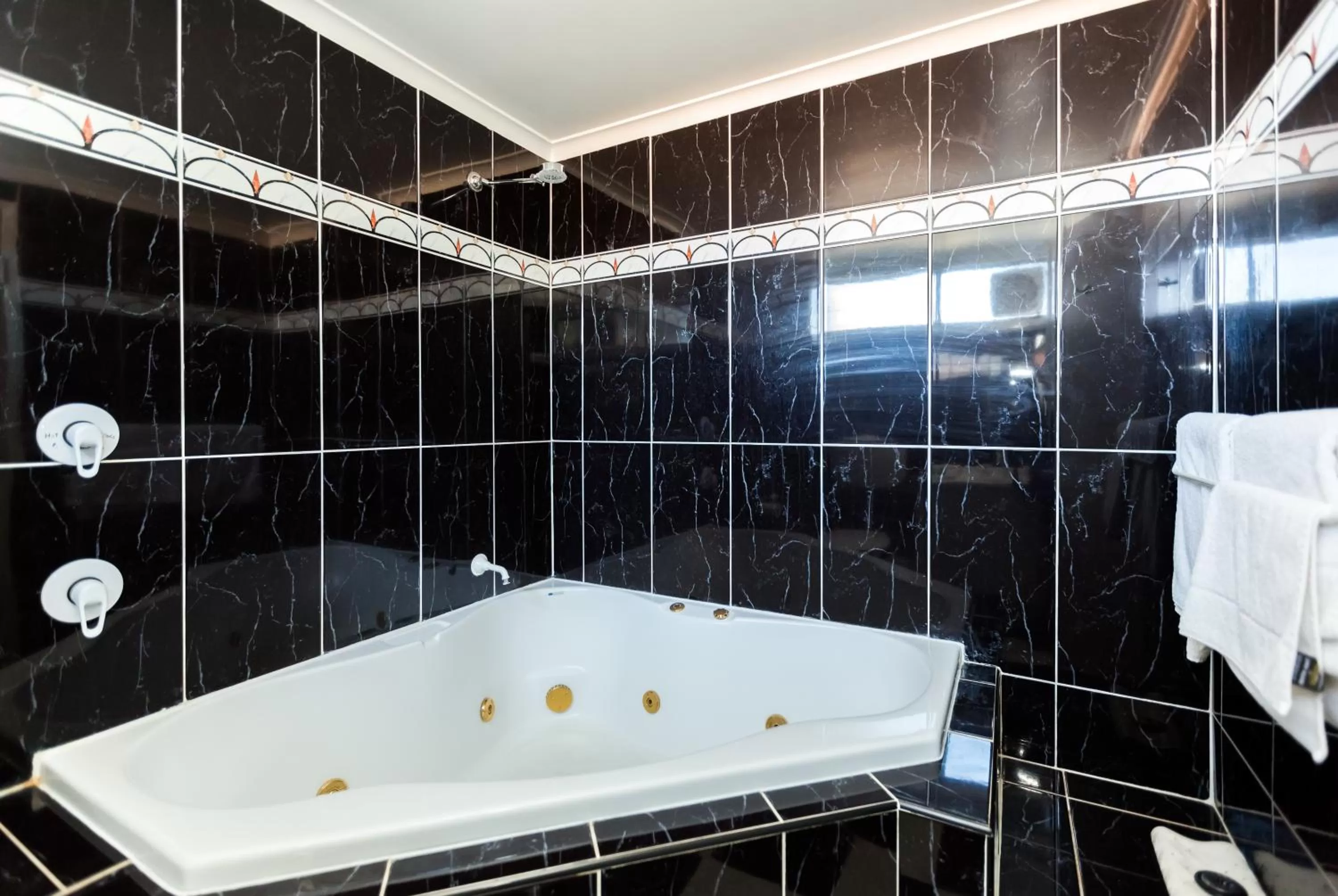 Bathroom in Elkira Court Motel